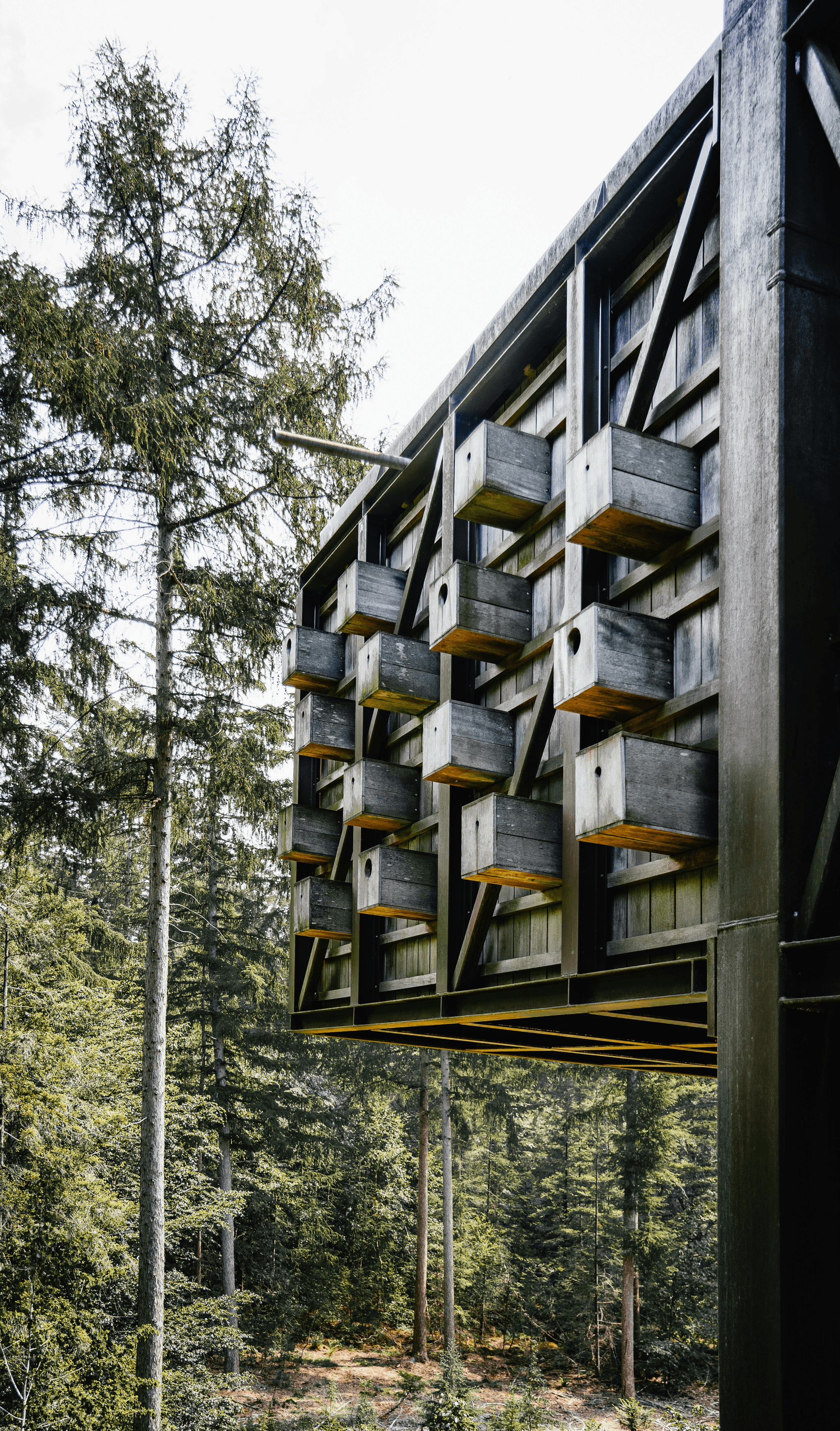 combien coûte une maison capsule options disponibles