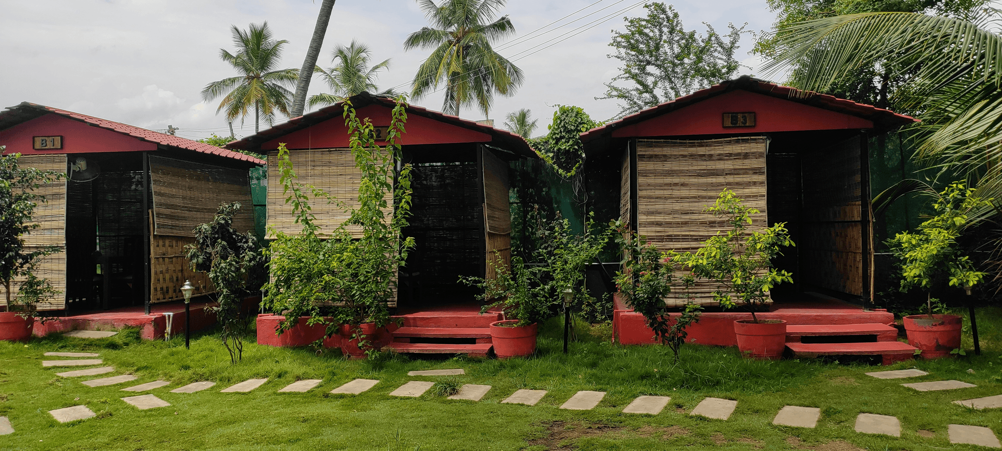 Eco-friendly prefab tiny home nestled in nature