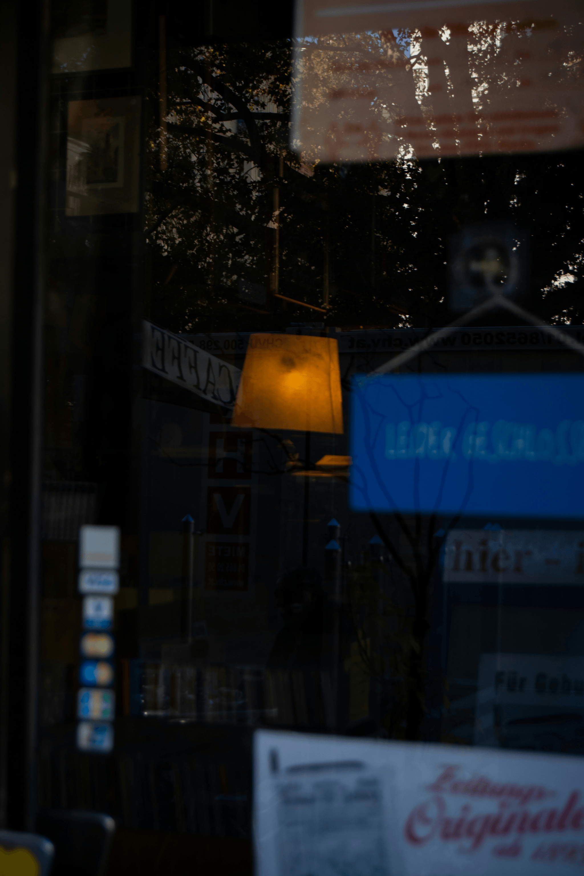 storefront window cost compliance illustration showcasing different designs