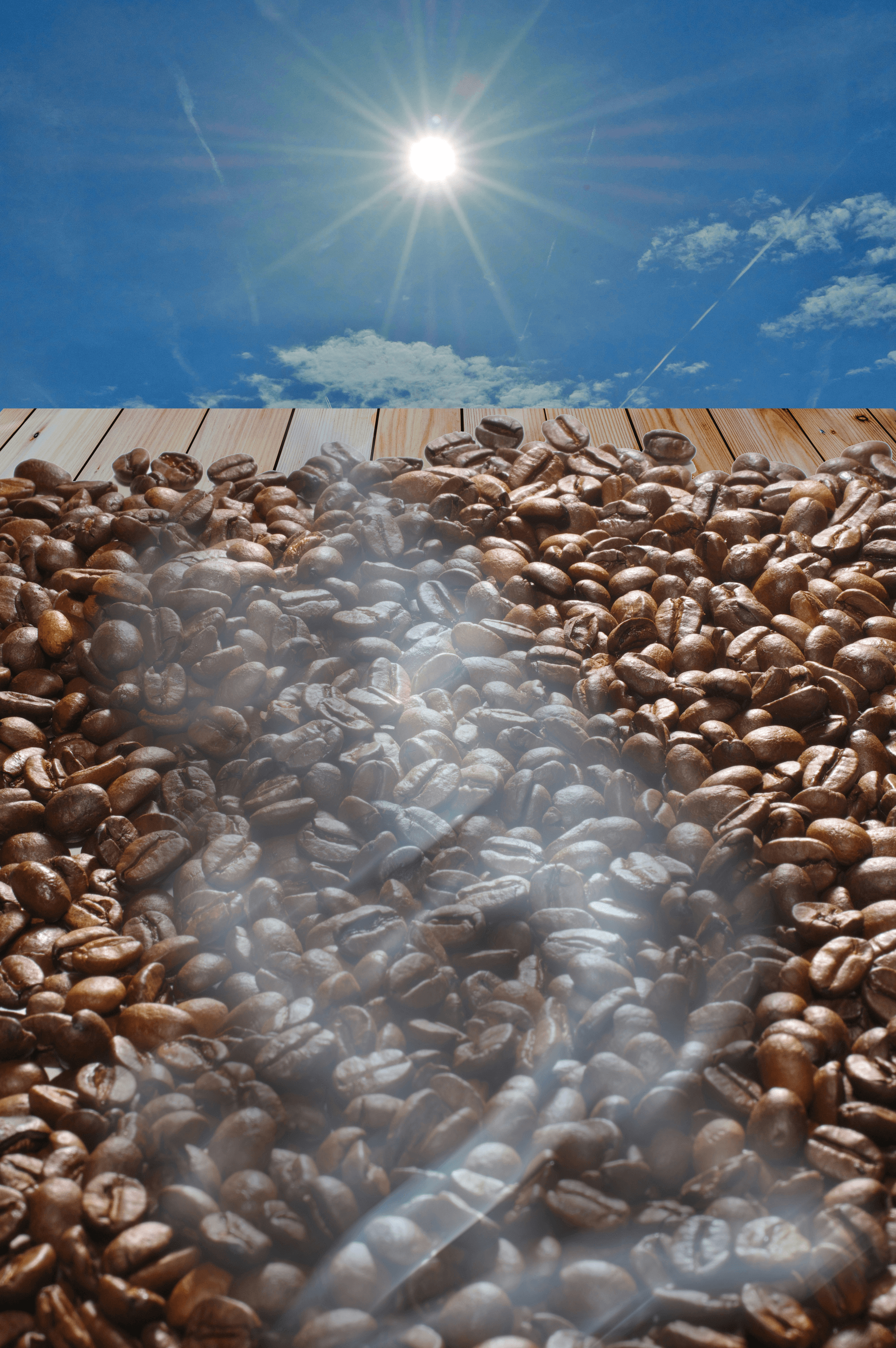 freshly brewed cup made from freeze dried instant coffee