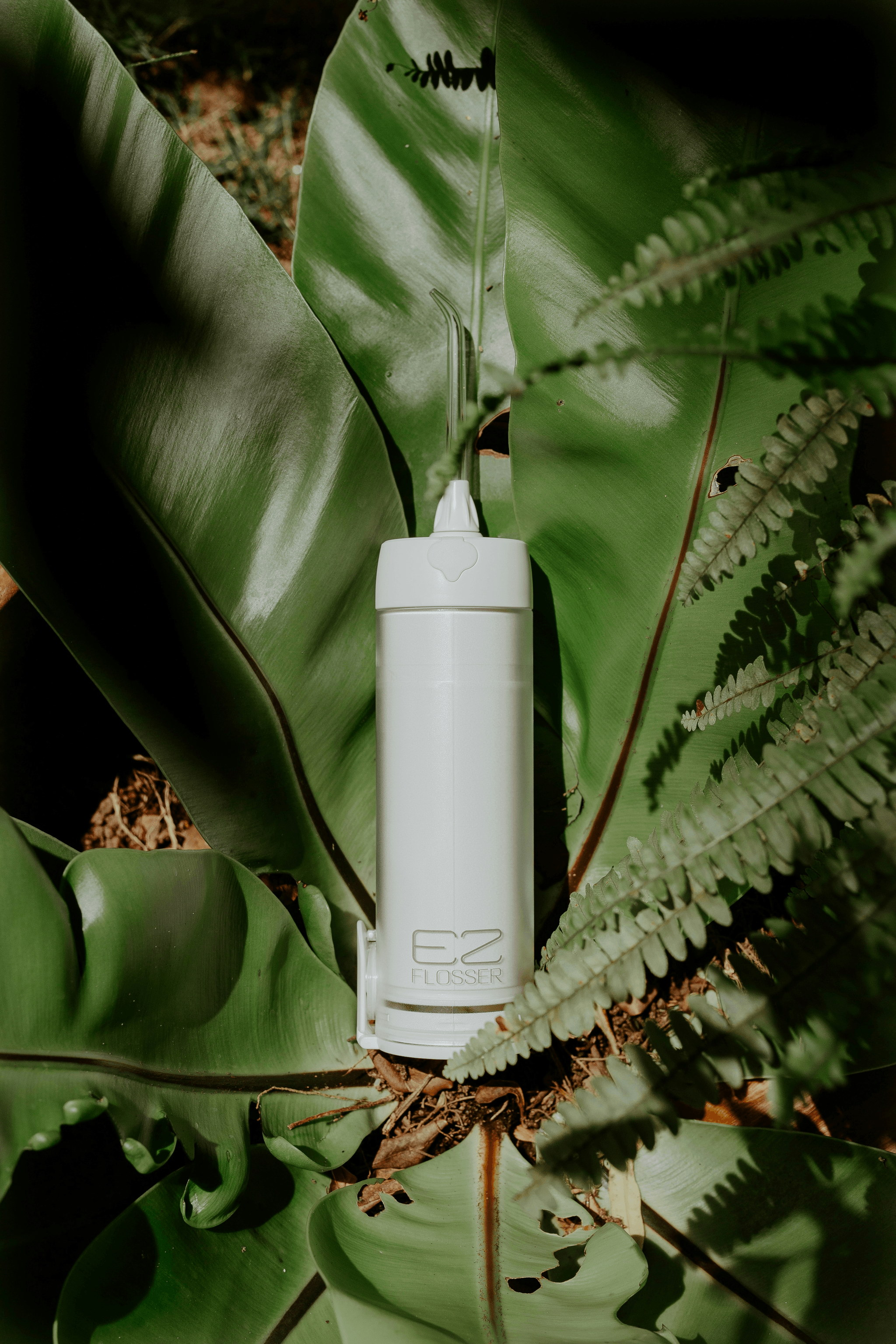 Sourcing Eco-Friendly Products from China Manufacturers