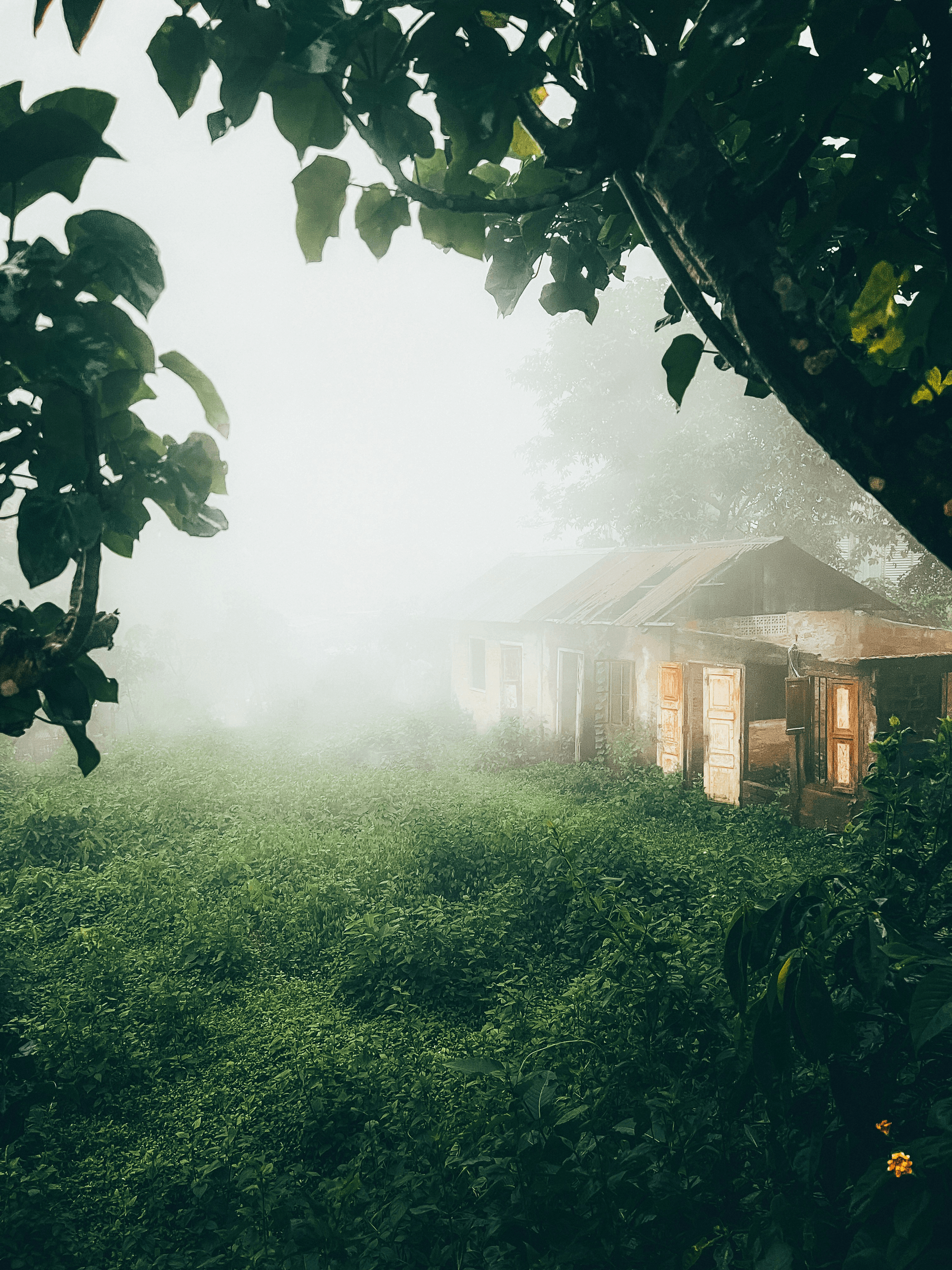 container house village surrounded by nature