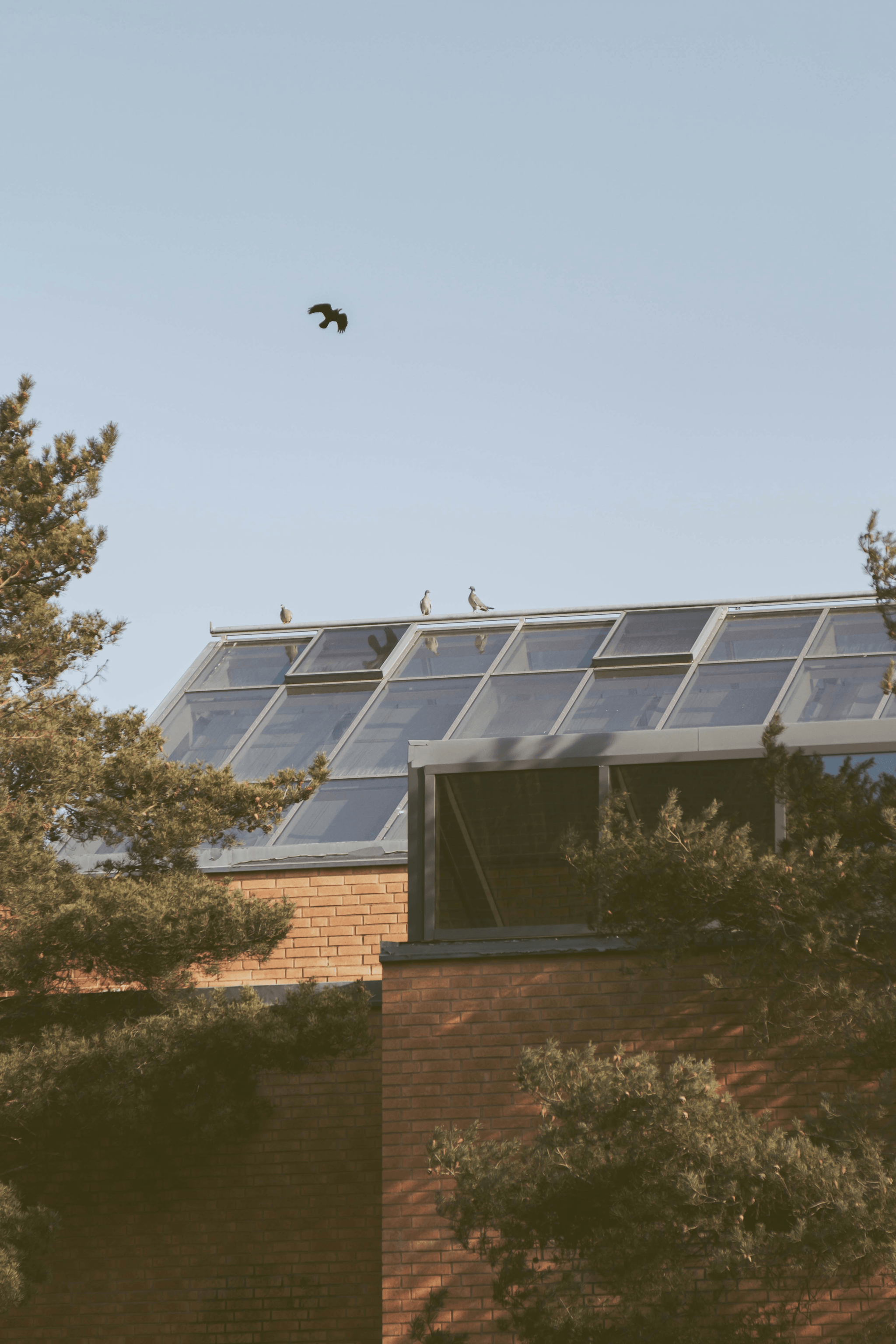 Solar panel integration in granny flats prefabricated