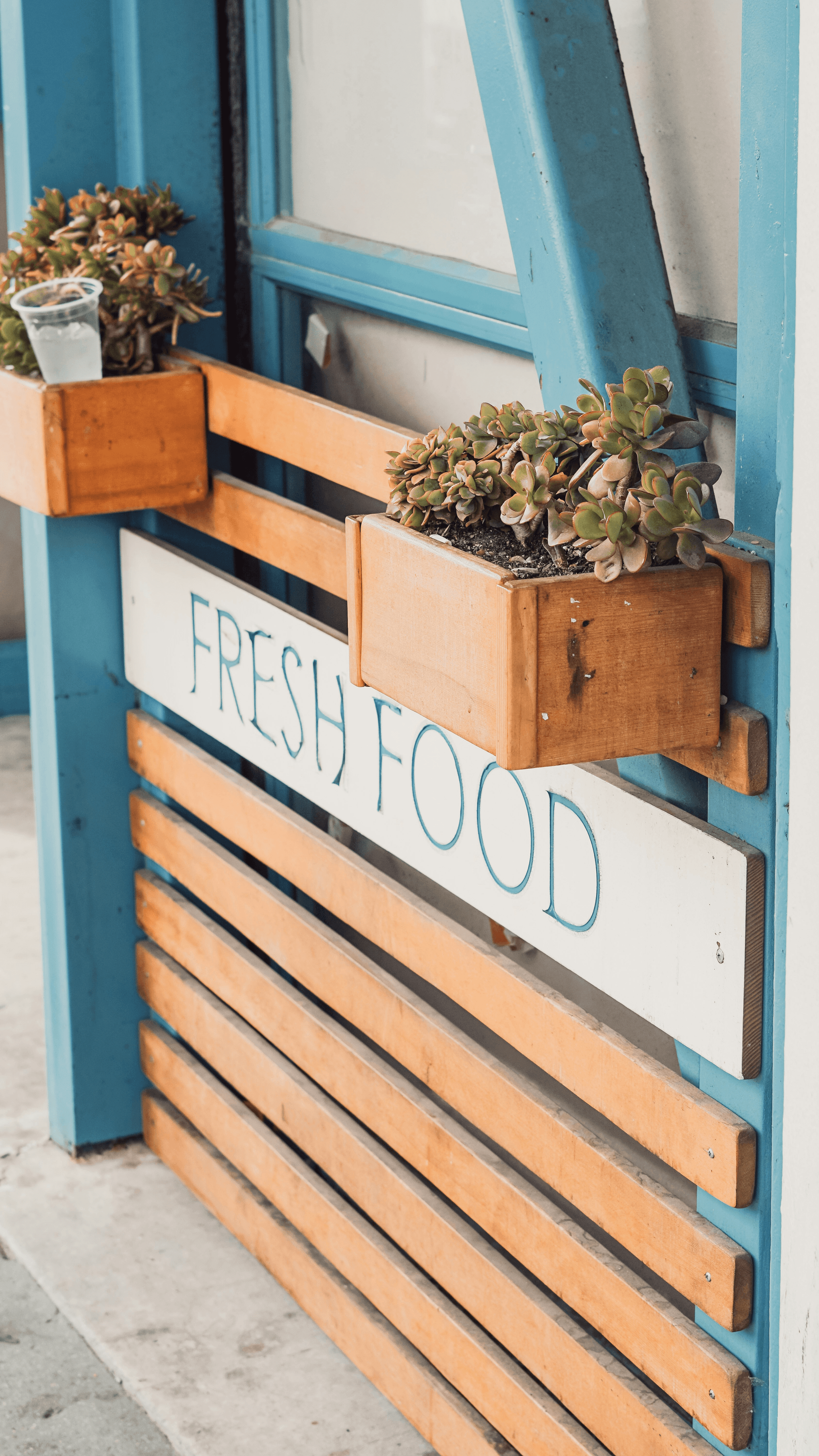 cafe in container showcasing vibrant signage and seasonal decor