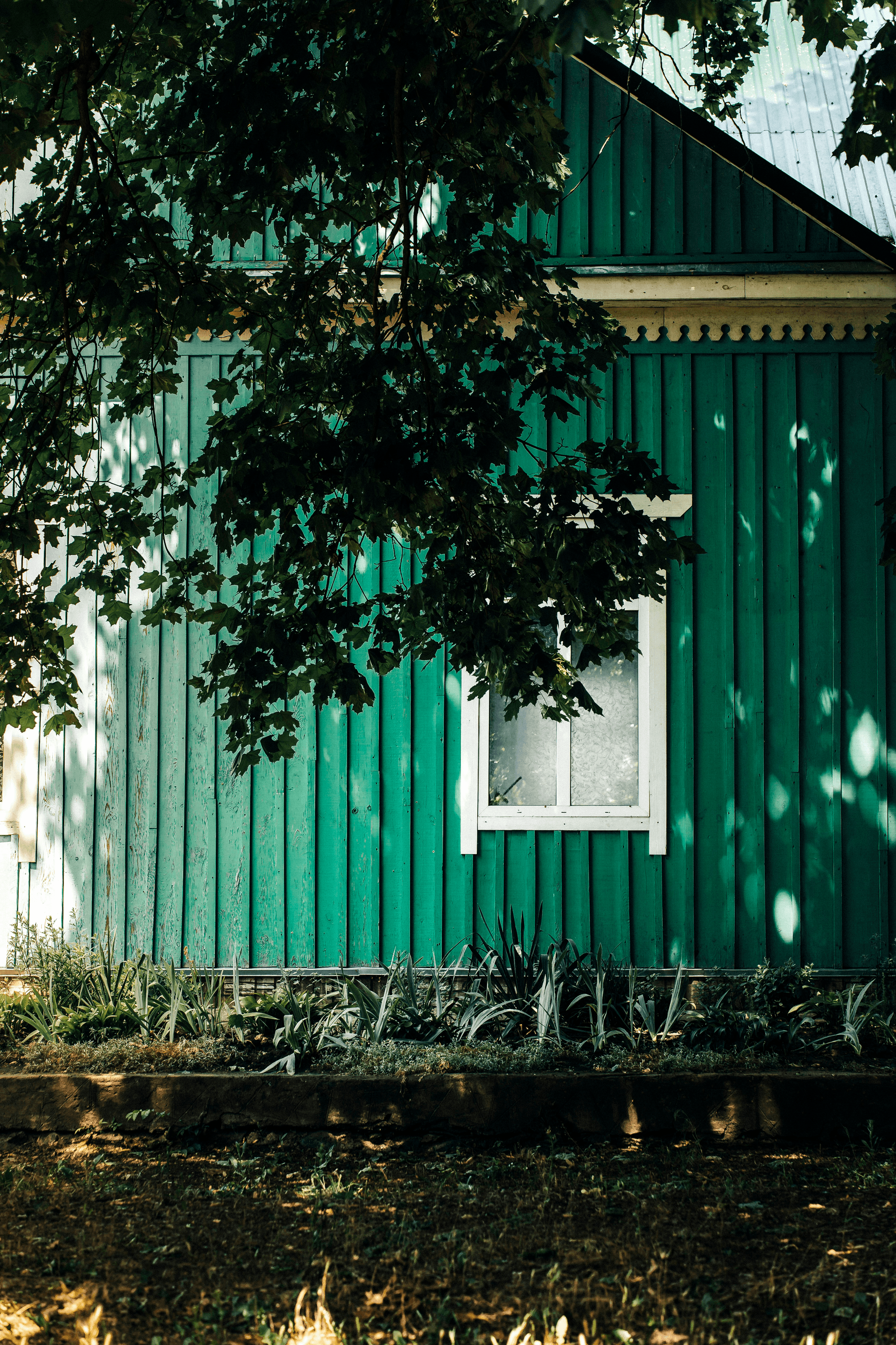 prefab shop homes showcasing sustainable design elements