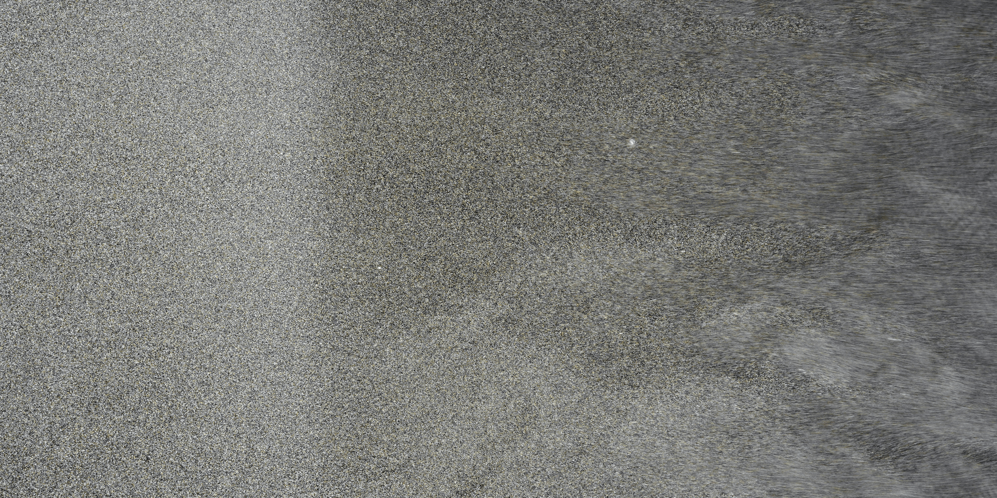 Carpet Inspection process focusing on quality standards