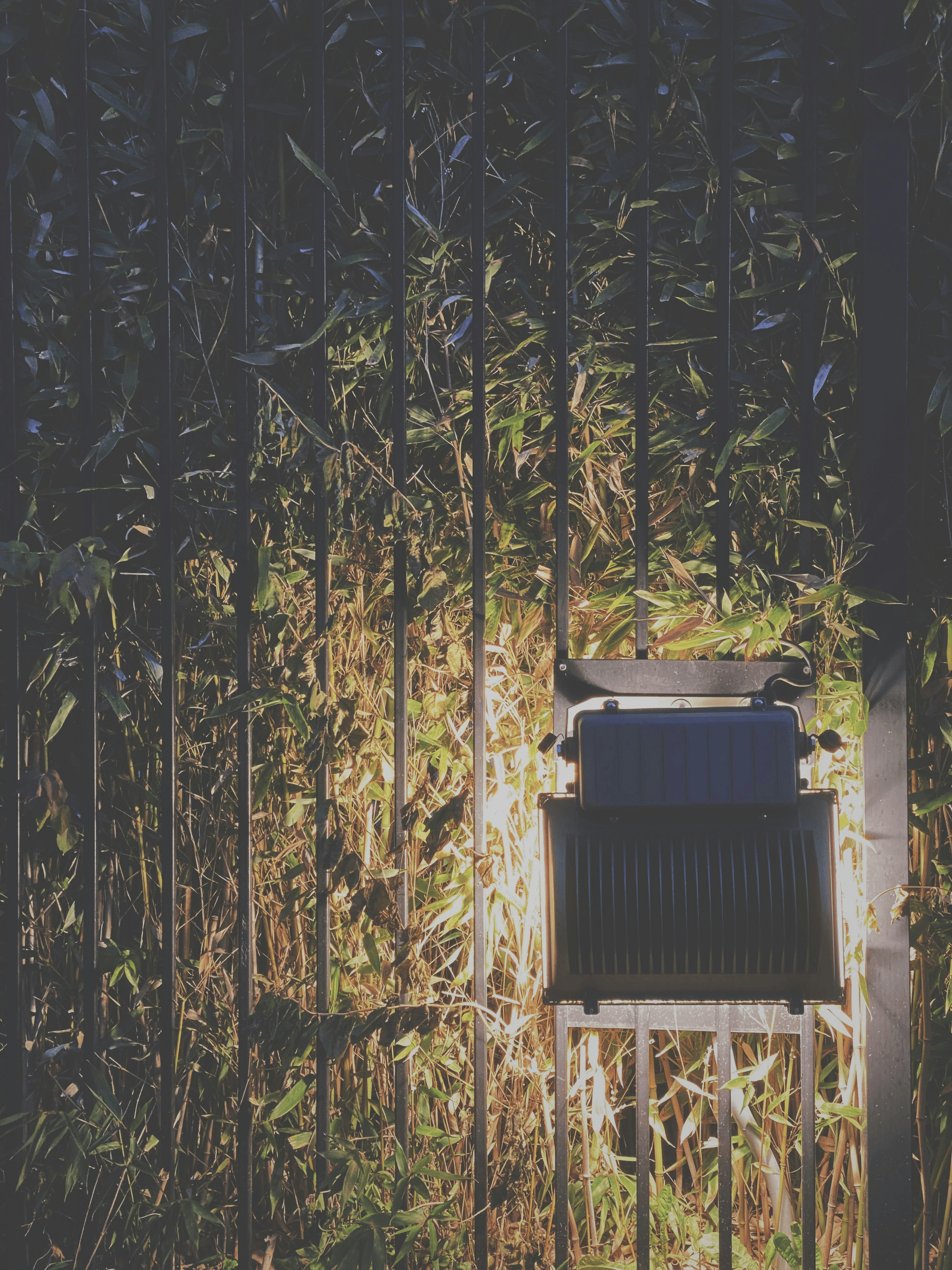 Solar-powered LED lights showcasing ECOBRIGHT's commitment to sustainable lighting solutions from China light manufacturers