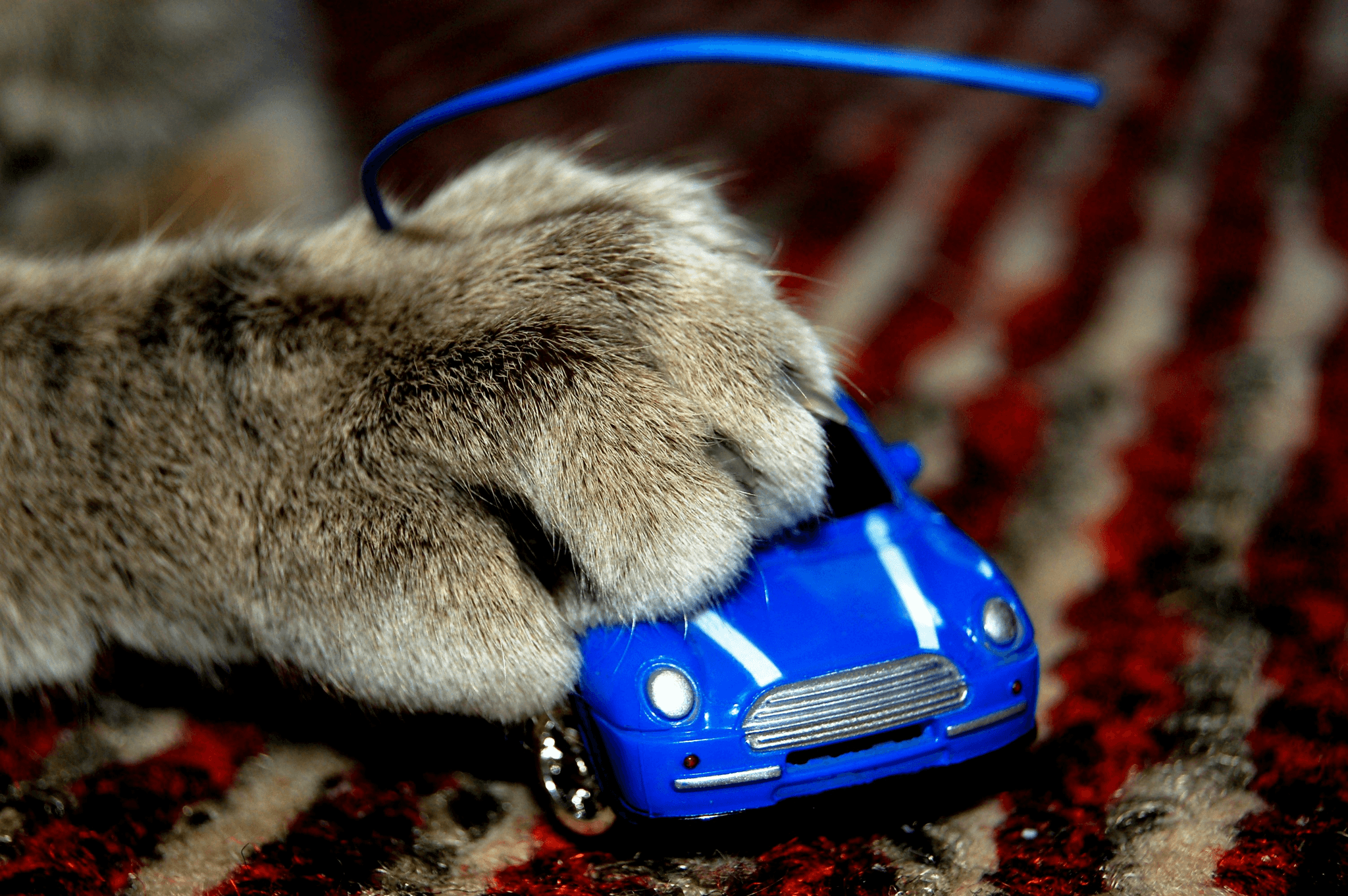Interactive automatic mouse cat toy for indoor cats