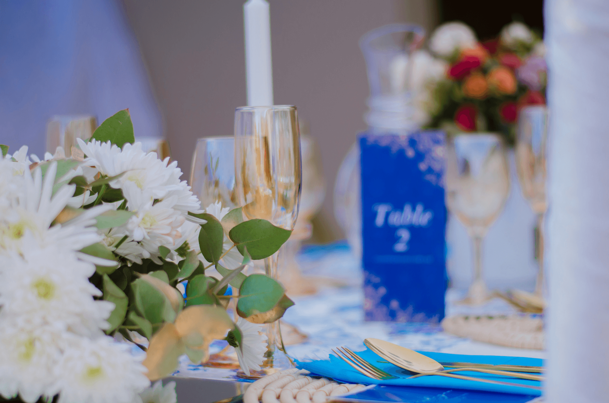 Stylish disposable plates for party enhancing festive gatherings