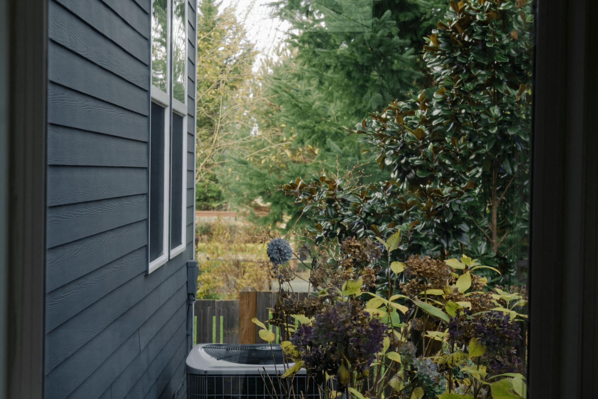 Sustainable home with drought-resistant landscaping and rainwater harvesting