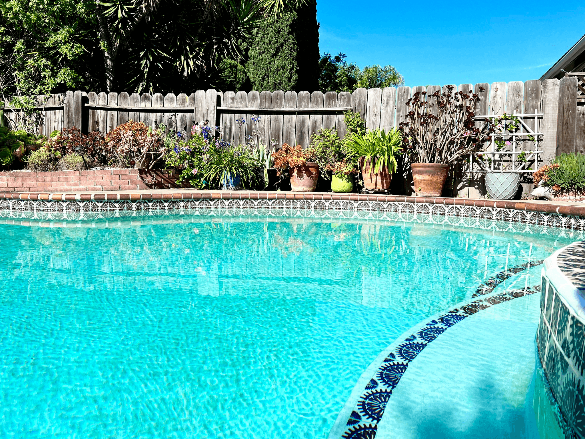 Pool Tile Ideas for Luxurious Backyard Oasis