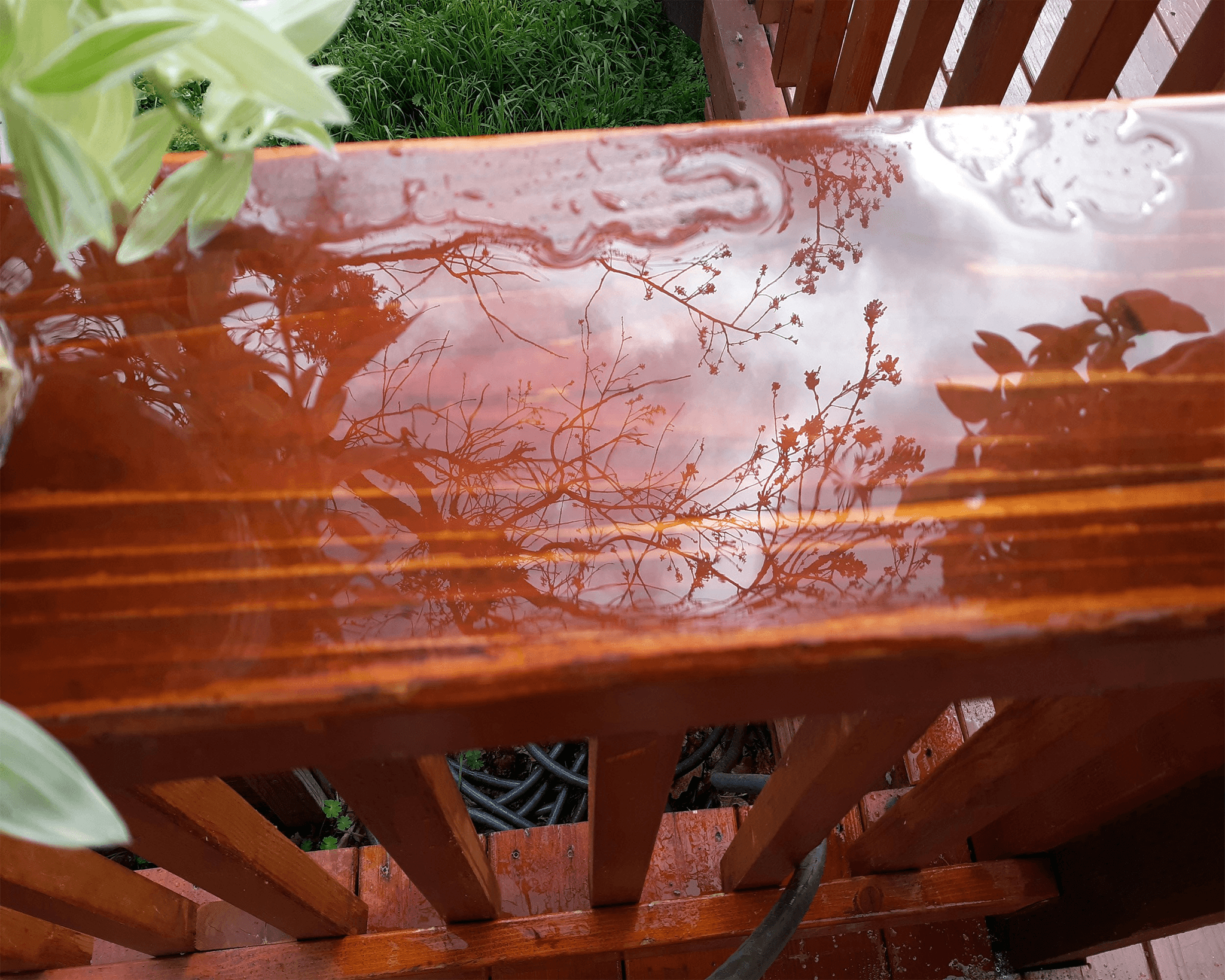 How to remove mold from deck effectively with proper techniques.