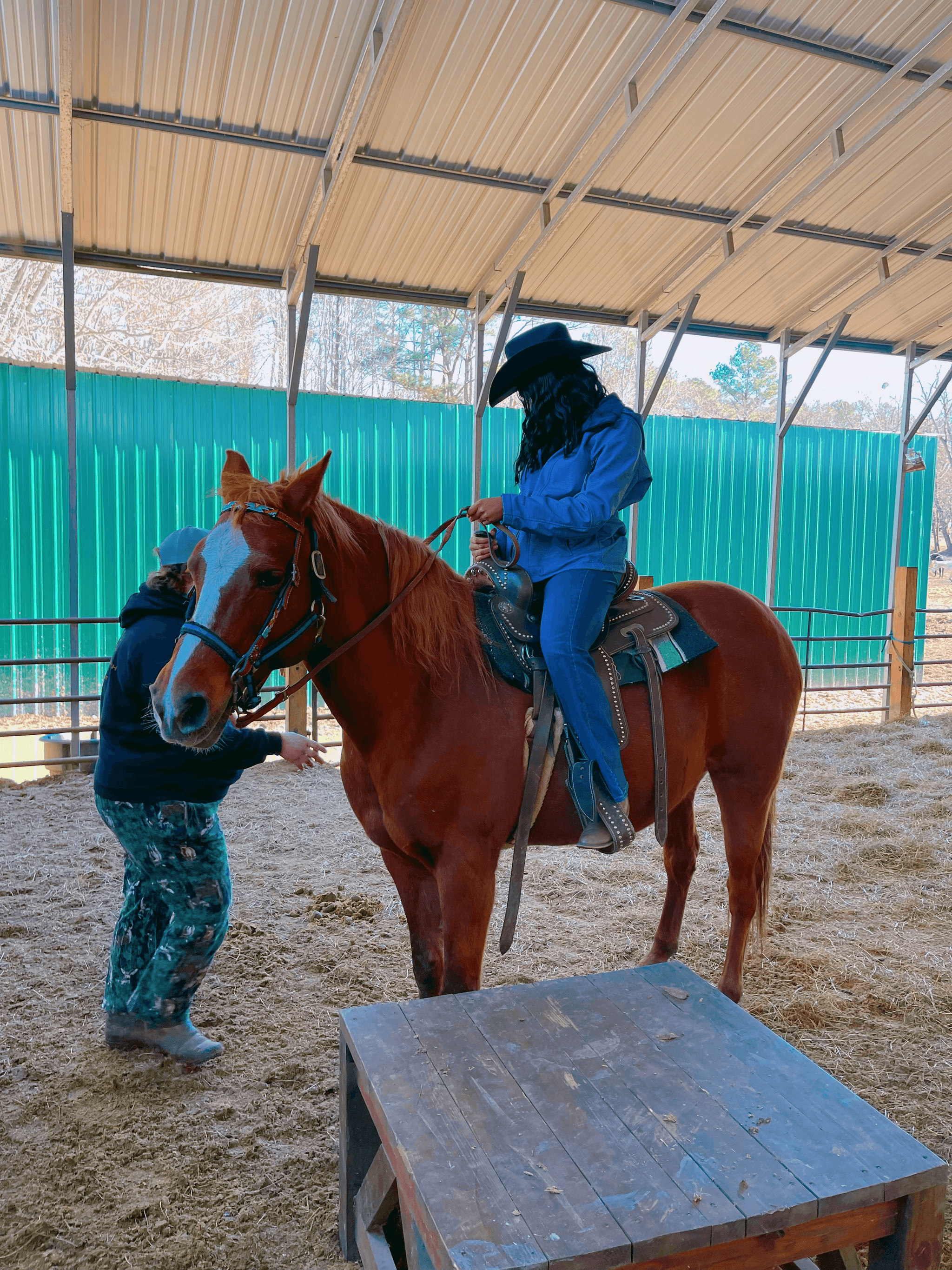 Riding Lessons