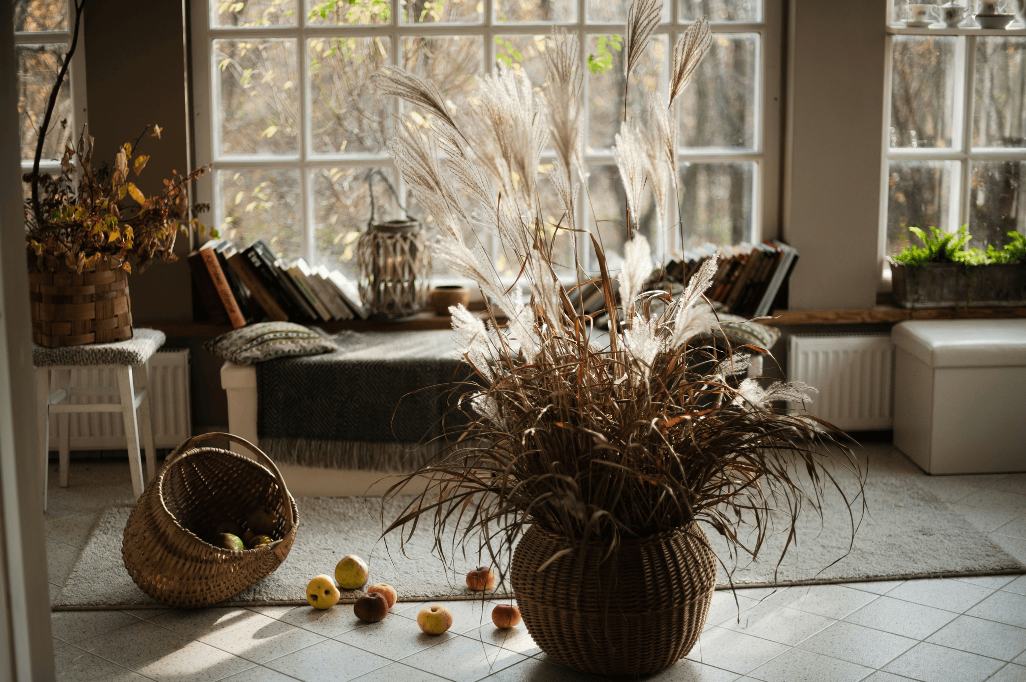 is pampas grass toxic to cats elegant living room