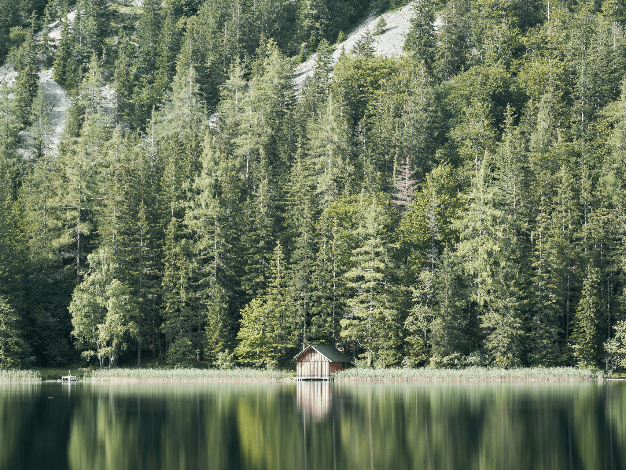 Cozy prefab modern cabin nestled in nature