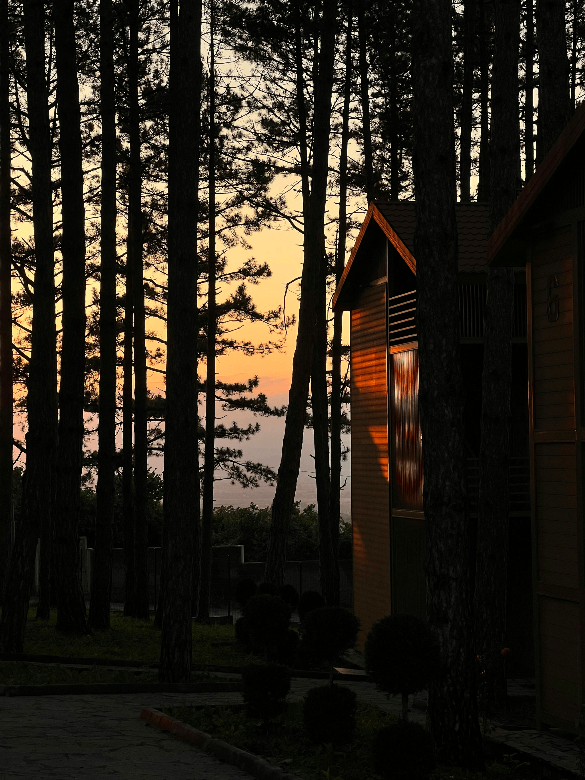 apple hollow cabins offering serene views and rustic charm