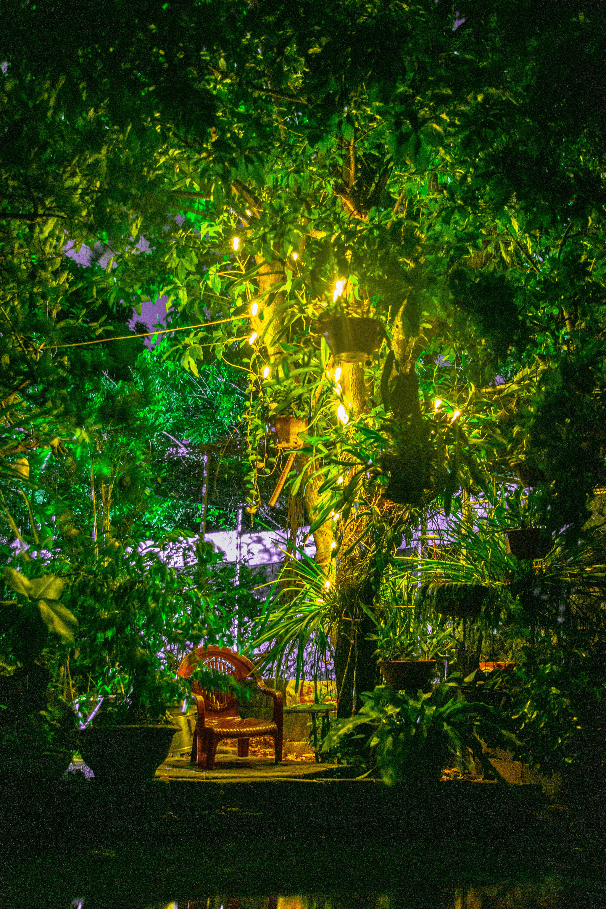 deck and garden for outdoor living space