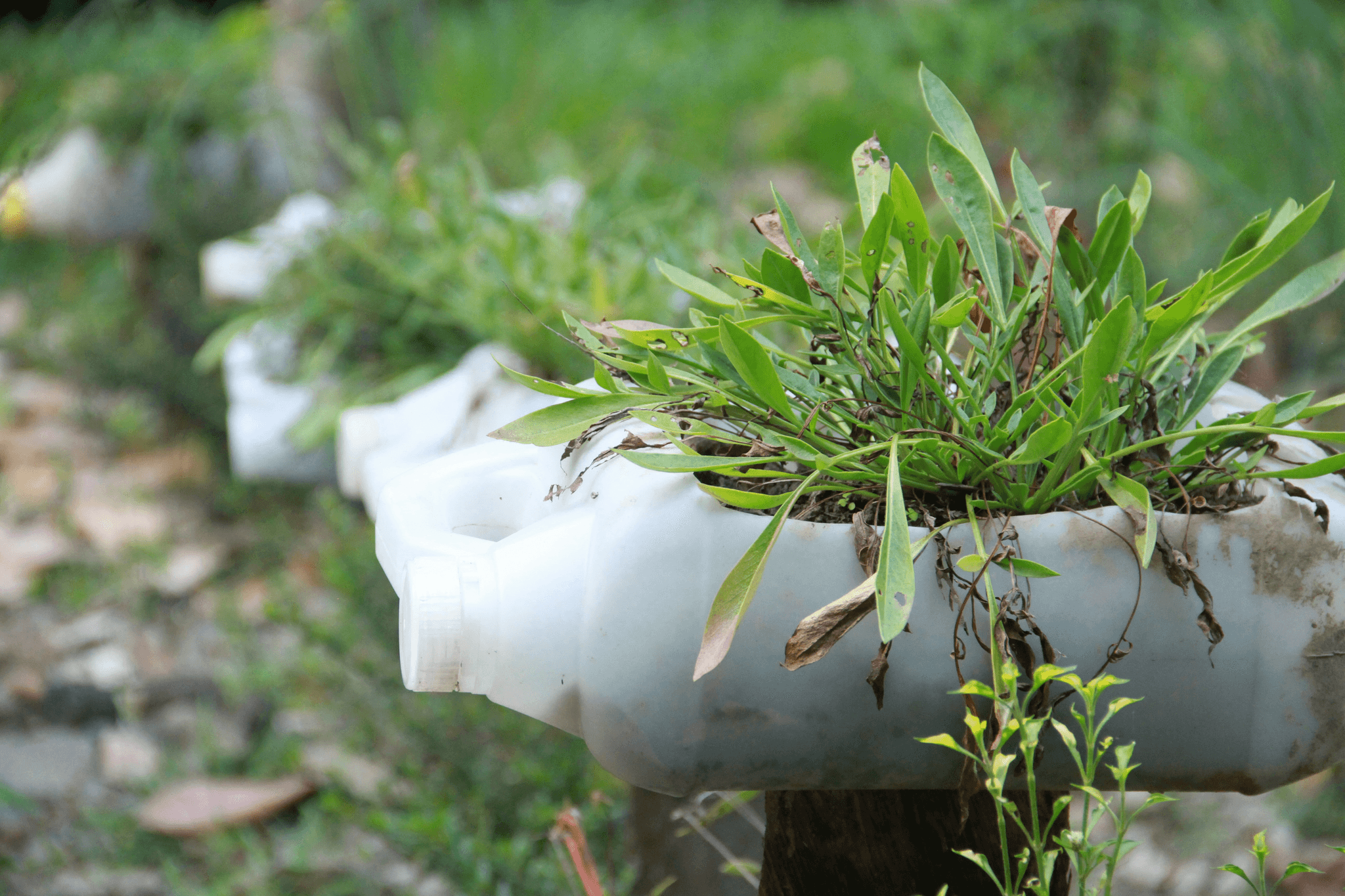 如何有效預防登革熱？掌握這些關鍵步驟，讓蚊子遠離你！｜淺顯易懂的行醫筆記｜療寮診所．板橋江子翠｜家醫科診所．健保一般科