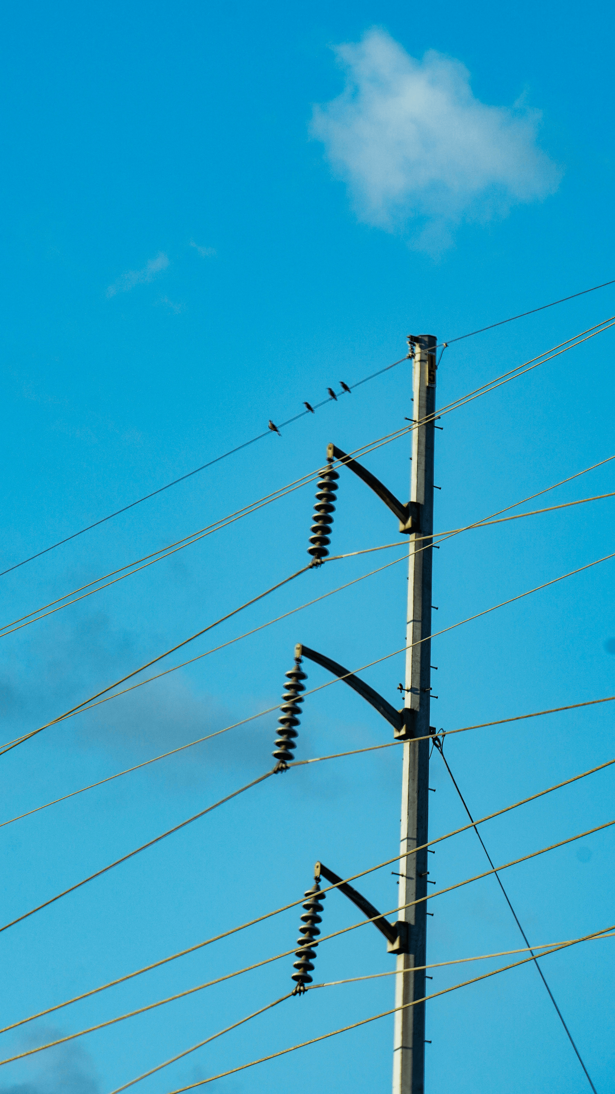 v rings enhancing efficiency in high voltage power systems