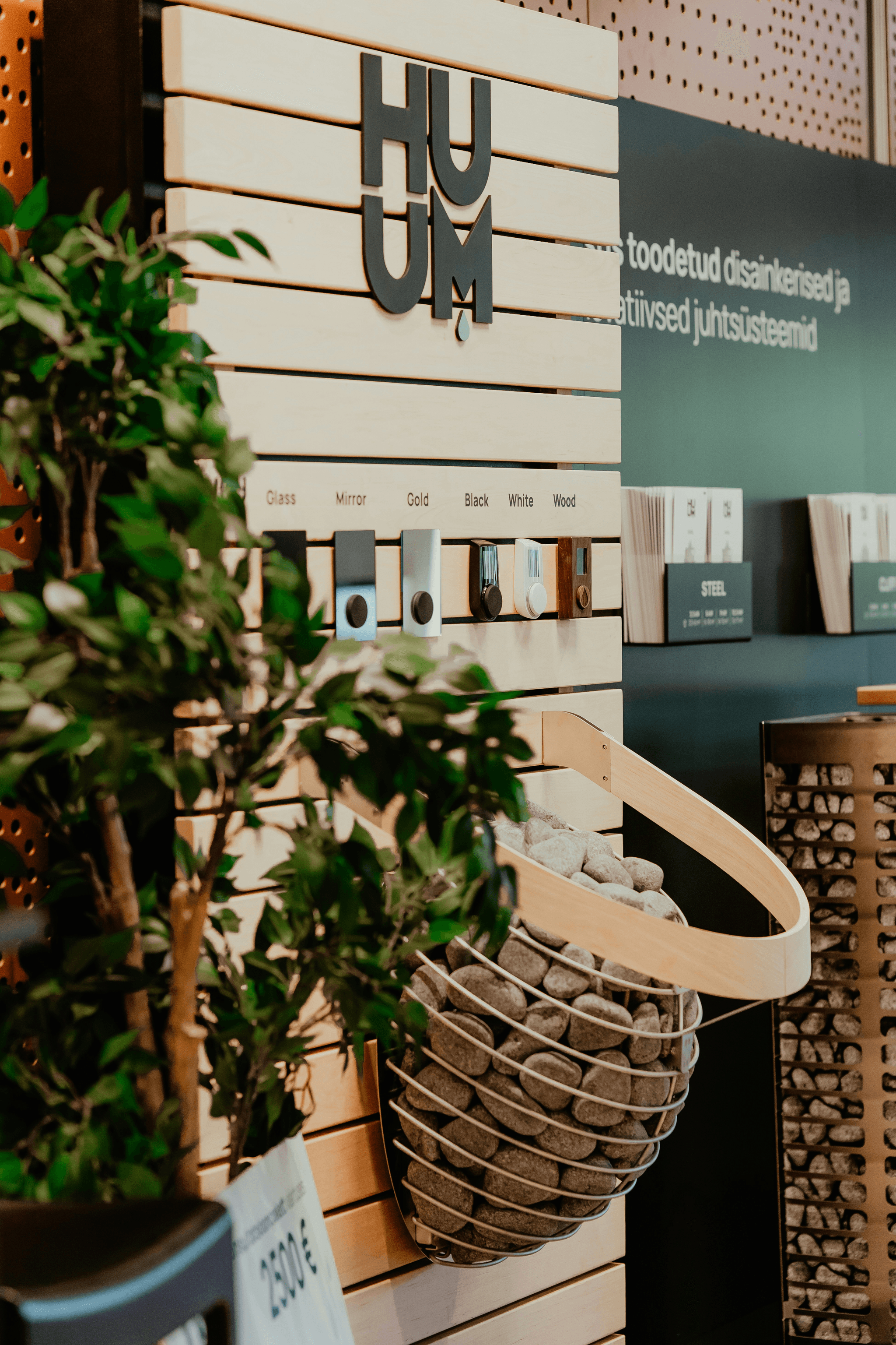 Eco-friendly products showcased during product sourcing for ecommerce