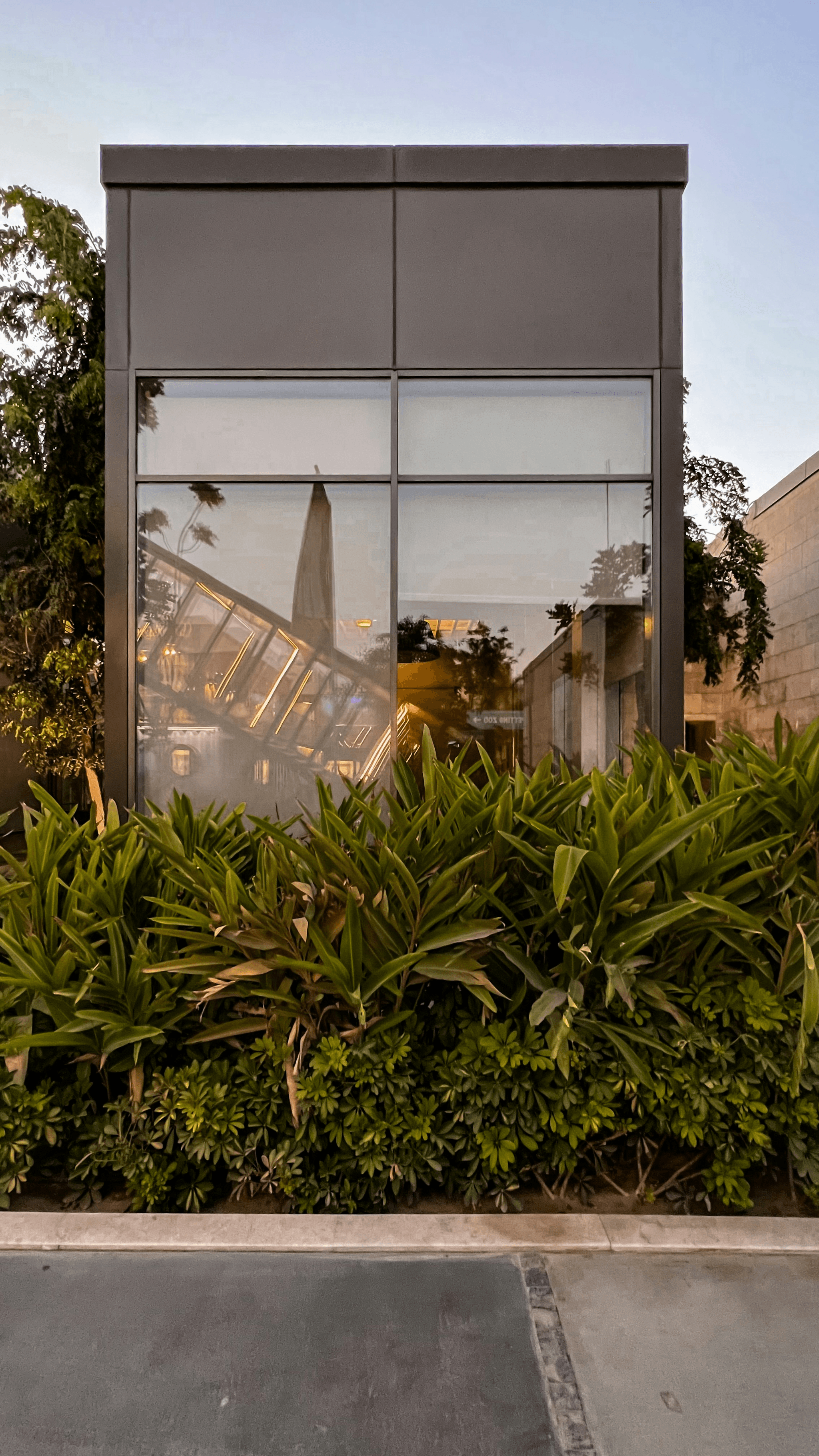 Shipping container mansion with green roof surrounded by vegetation