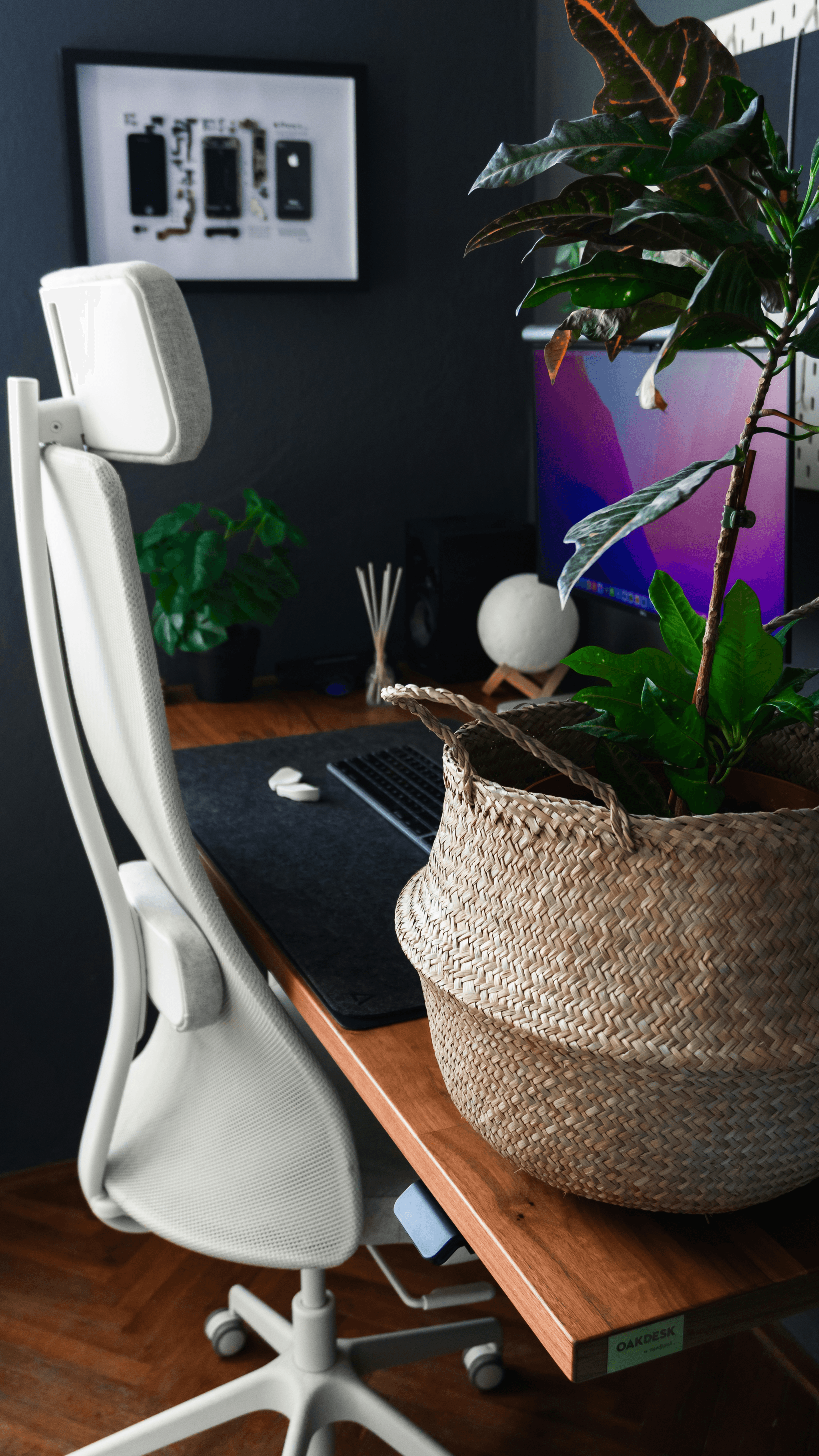 Modular office home - White planter with green foliage on modern desk