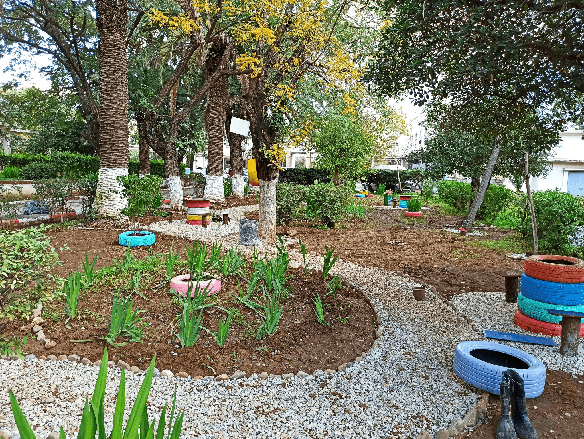 Section image
