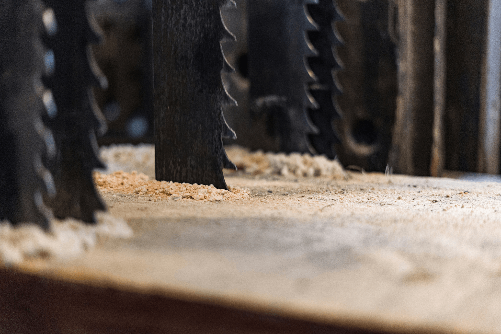 composite deck saw blade comparison showing various designs