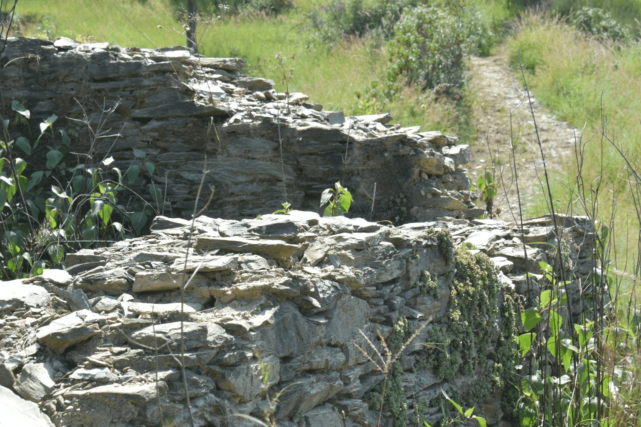 Gartenunterhalt Region Thun