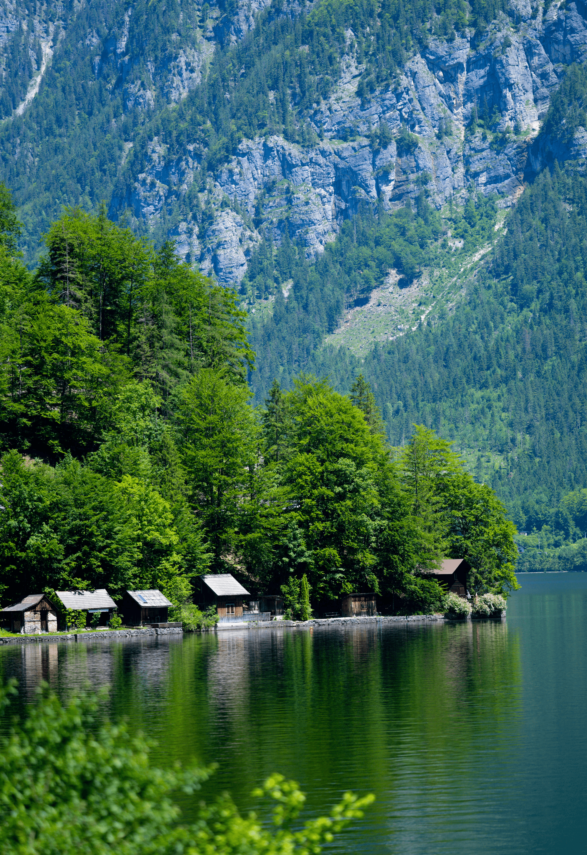 Pre Built Cabins Under $50 000 - Finding the Perfect Location