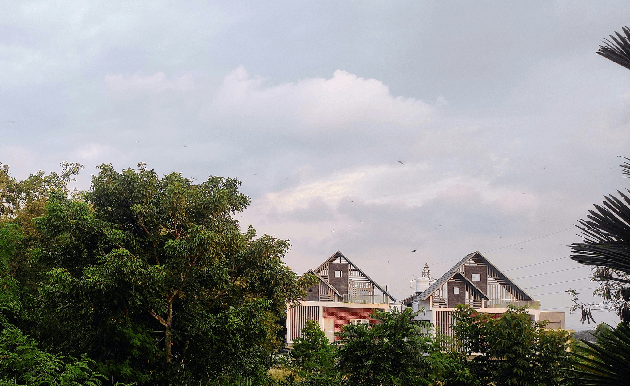 Promoting biodiversity in homes house