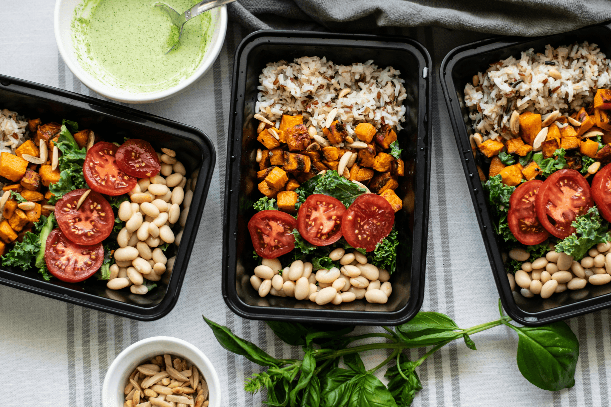 Innovative alternatives to plastic takeaway food containers promoting sustainability.