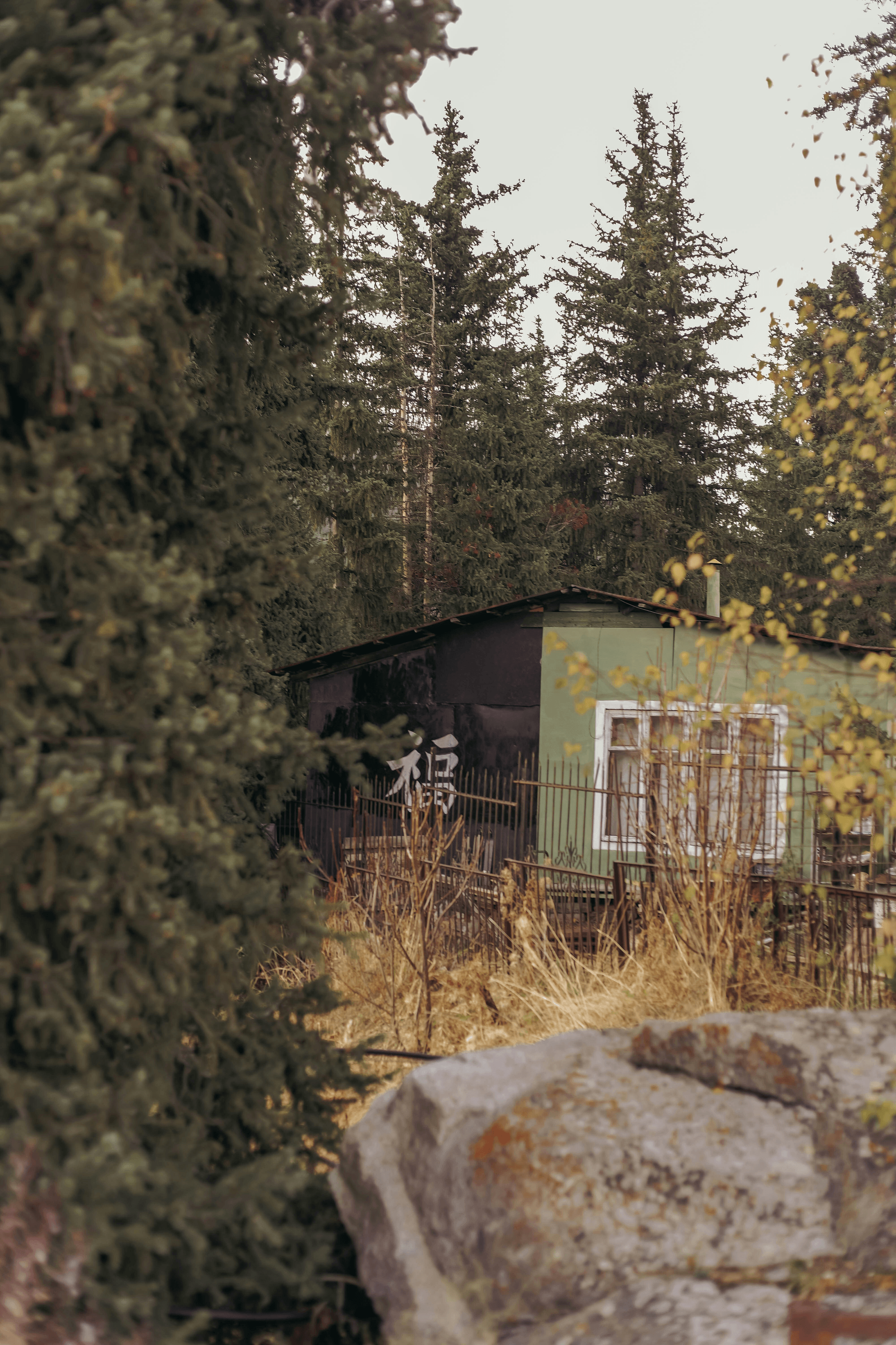 Cozy Cabin Style Modular Home nestled in nature