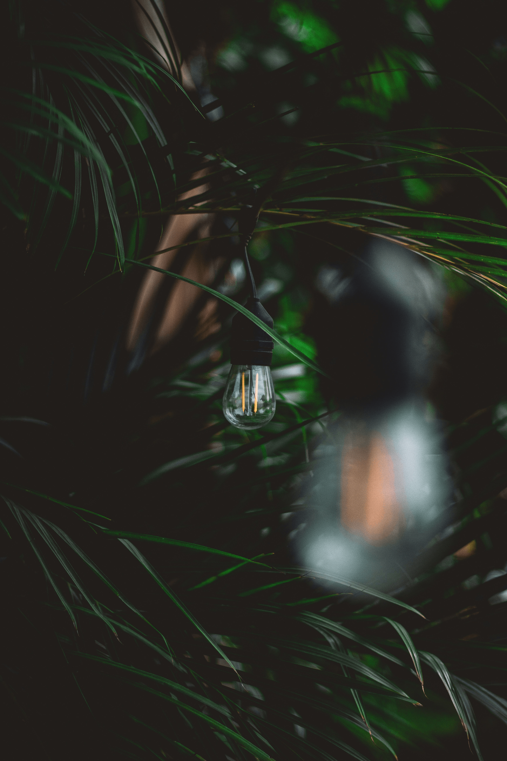 Top Lighting Manufacturers leading towards sustainable future