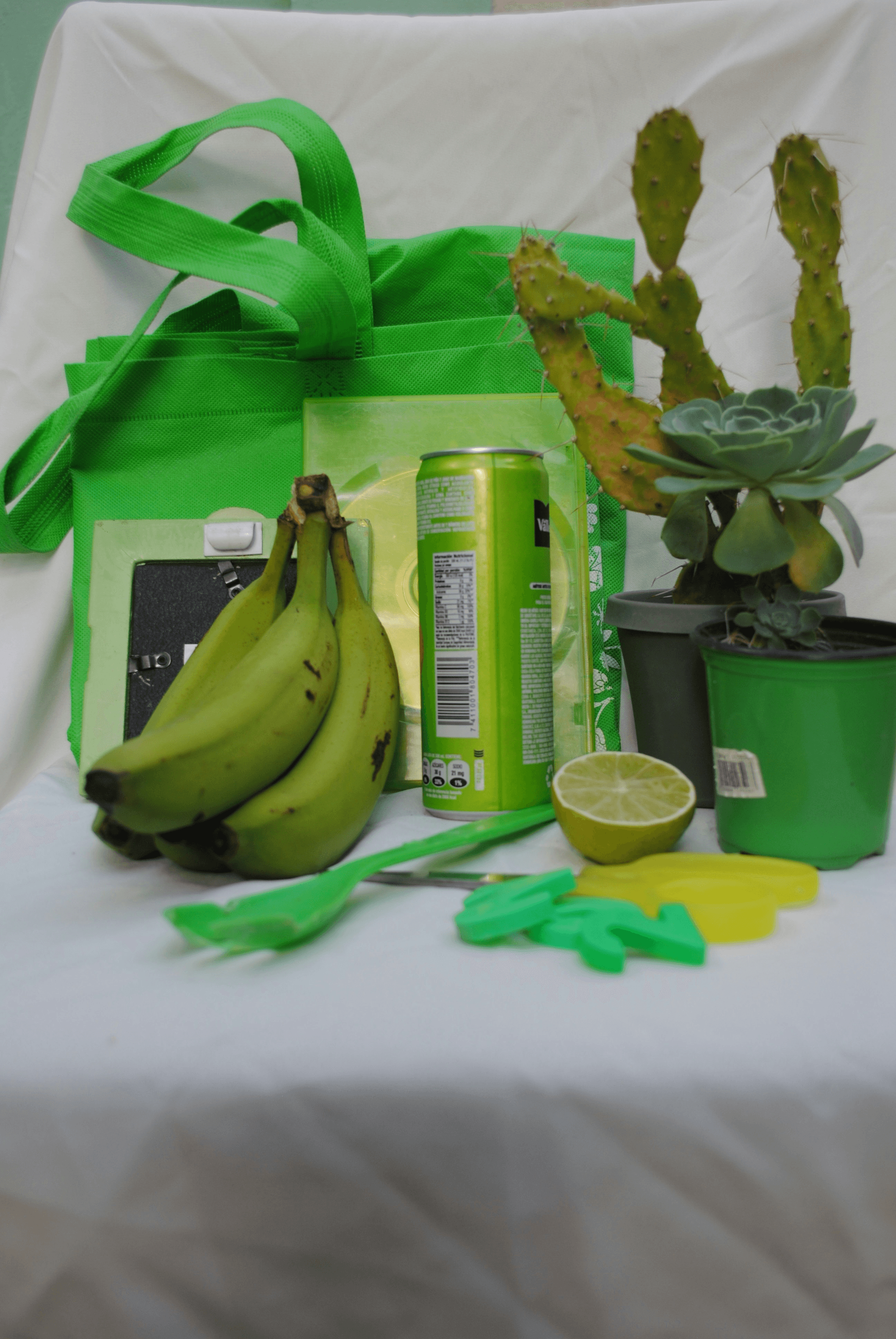 Eco-friendly products supporting global buying trends