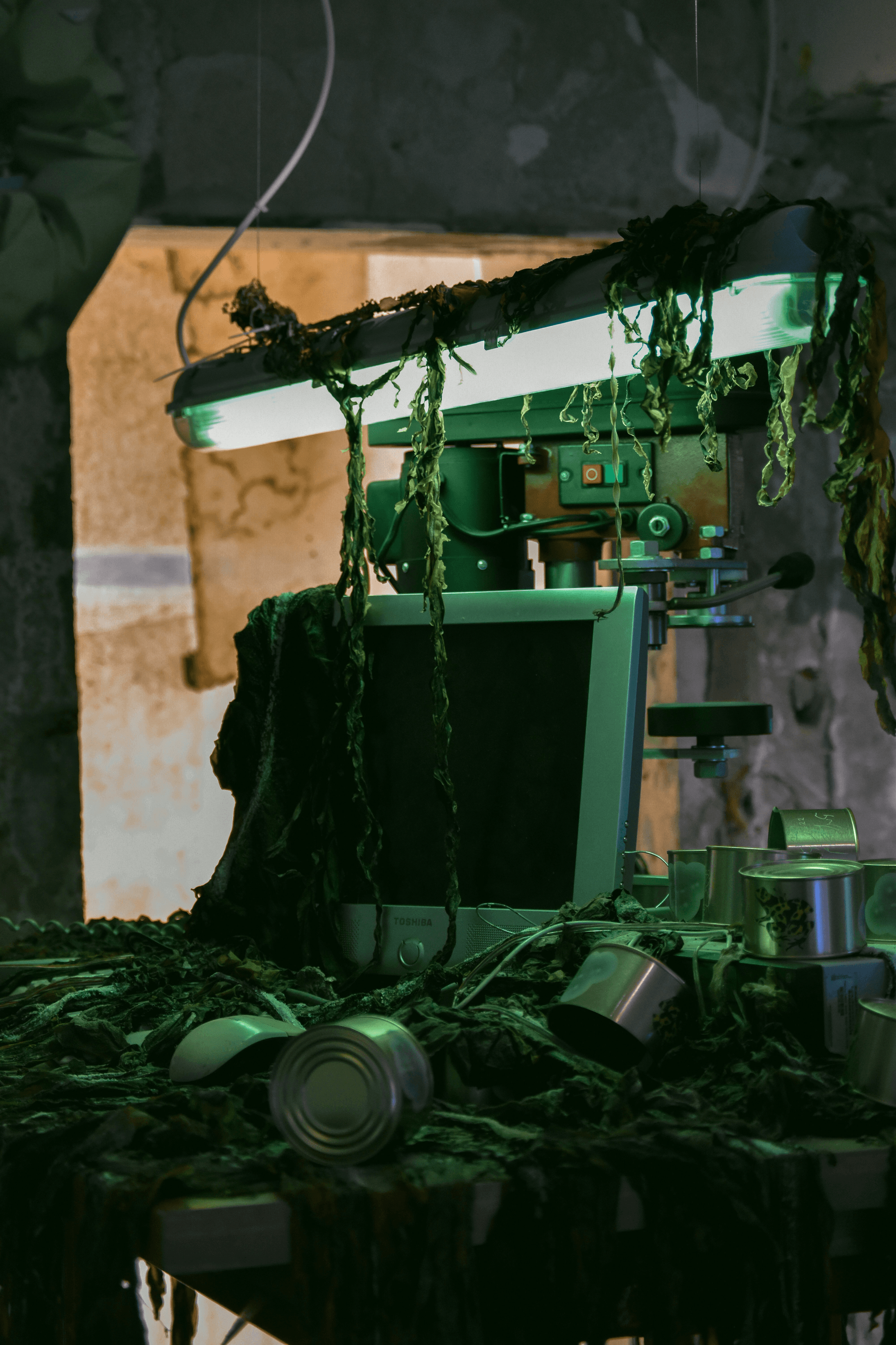 China Machinery - Embracing Sustainability