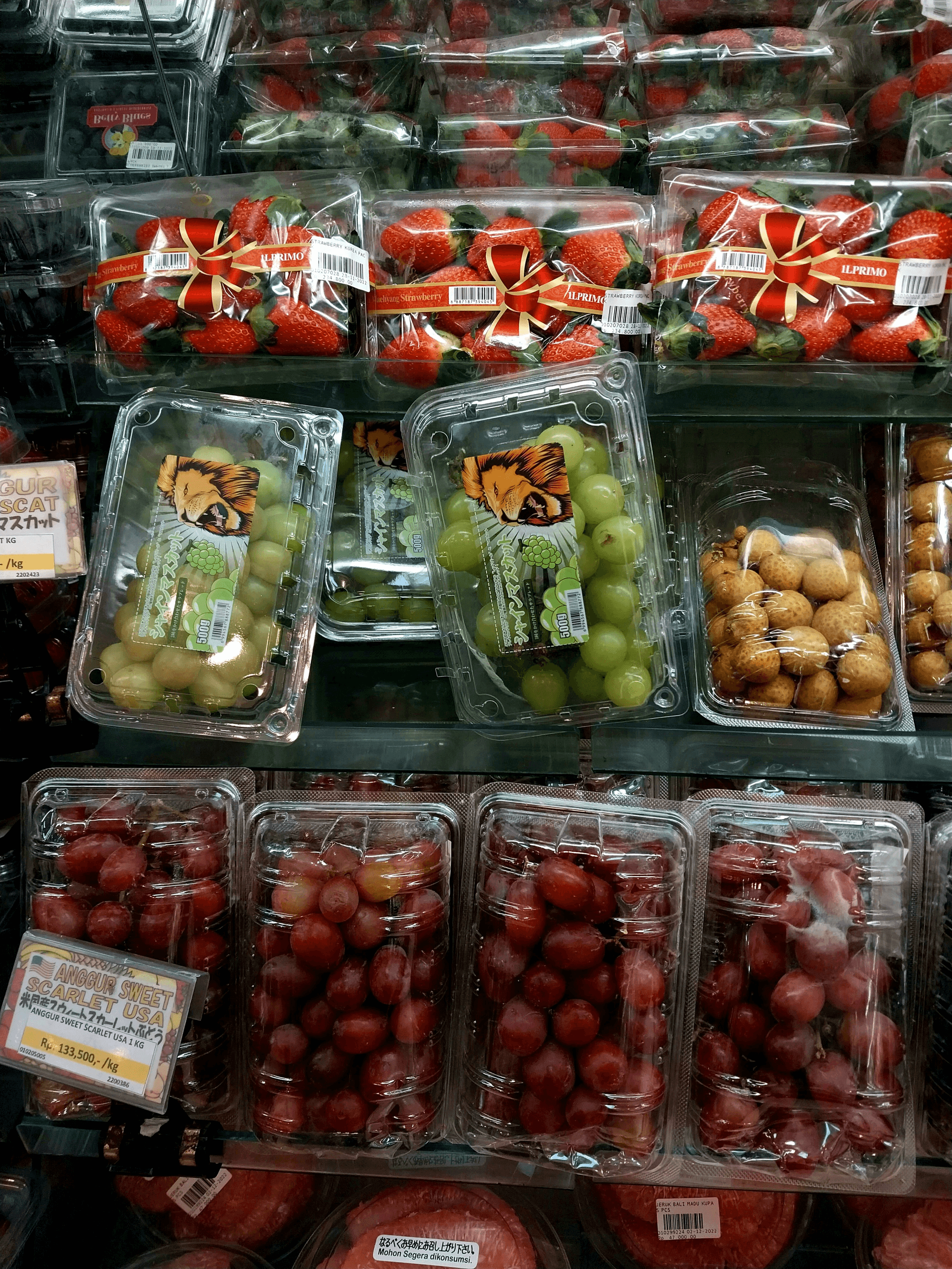 Variety of thermoformed packaging showcasing innovative designs.