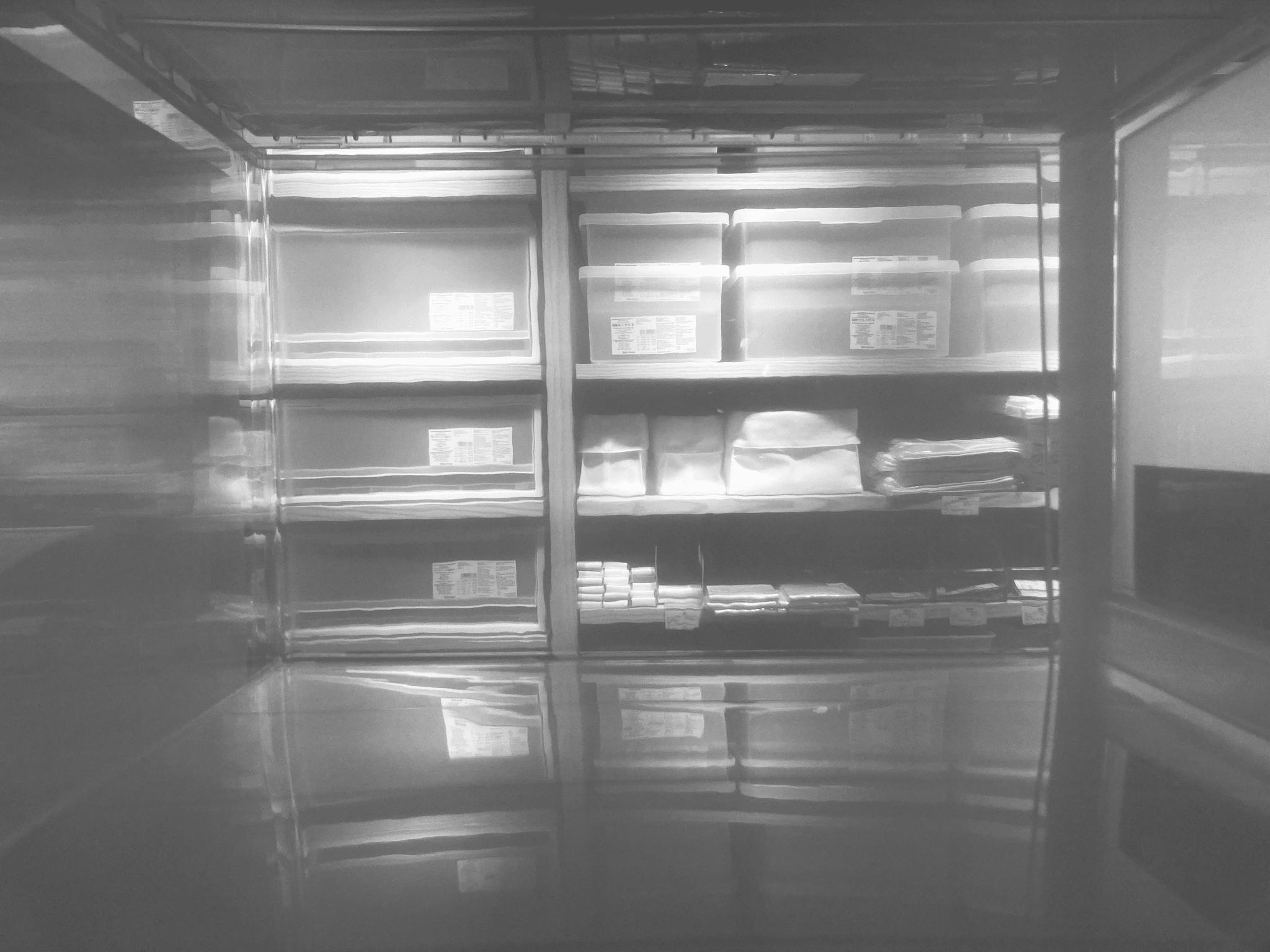 cold room refrigeration optimized design showcasing organized storage