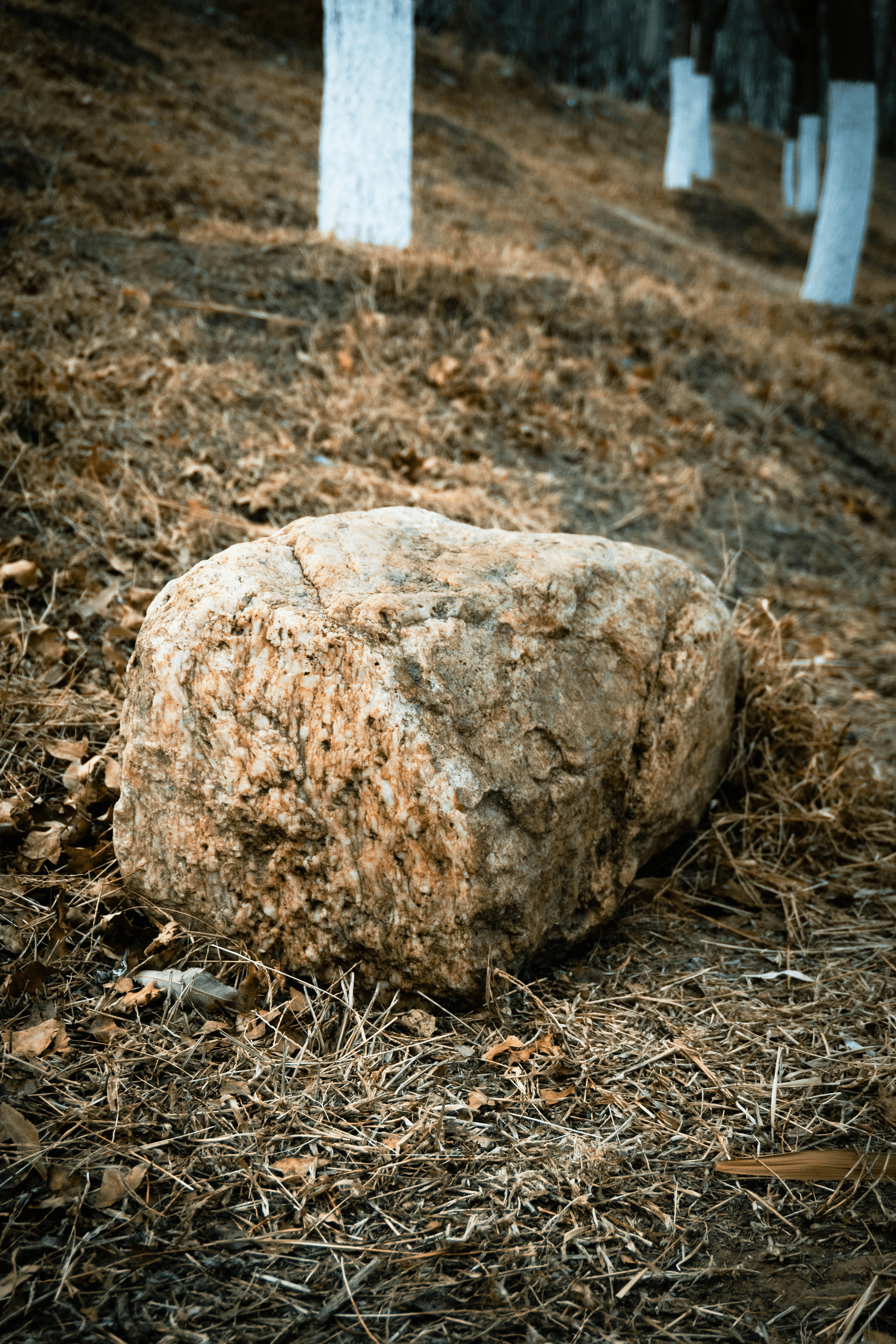 Section image