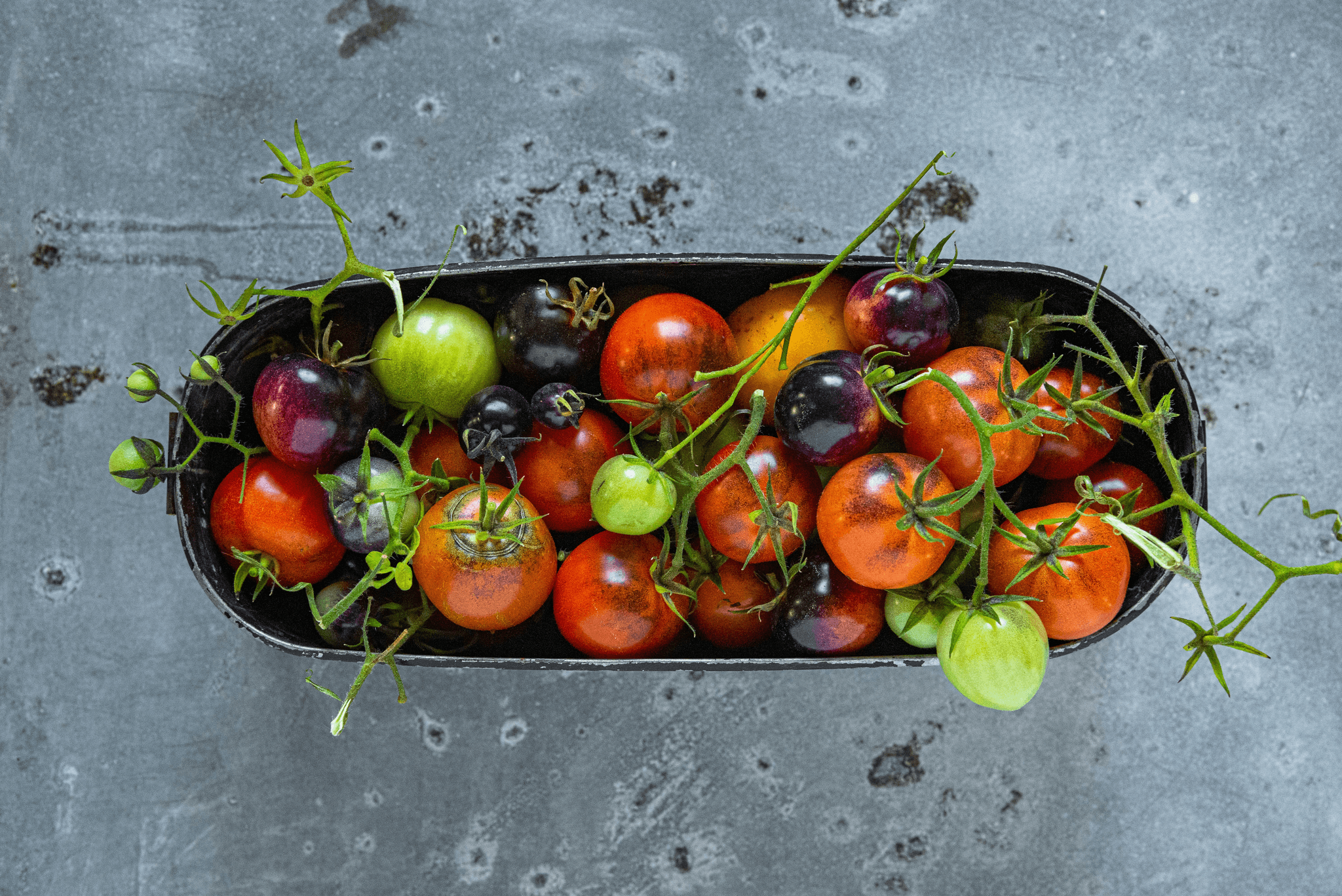 Beautiful selection of heirloom tomatoes.