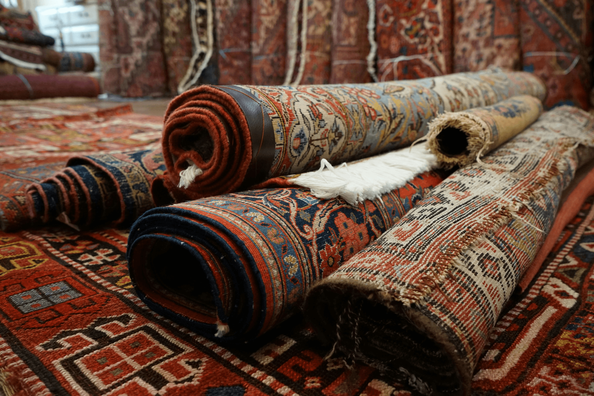 Carpet Inspection reveals details about different carpet types