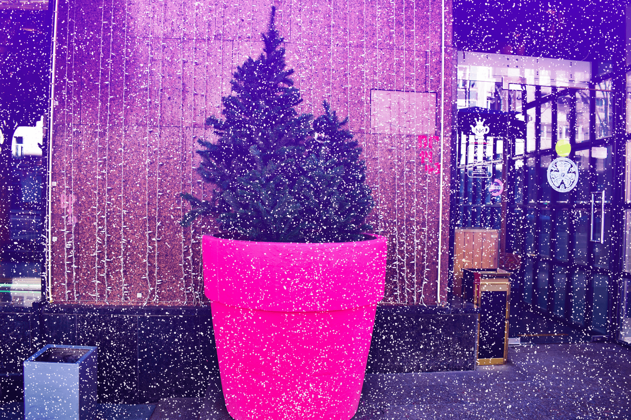 Holiday Container Arrangement on Patio