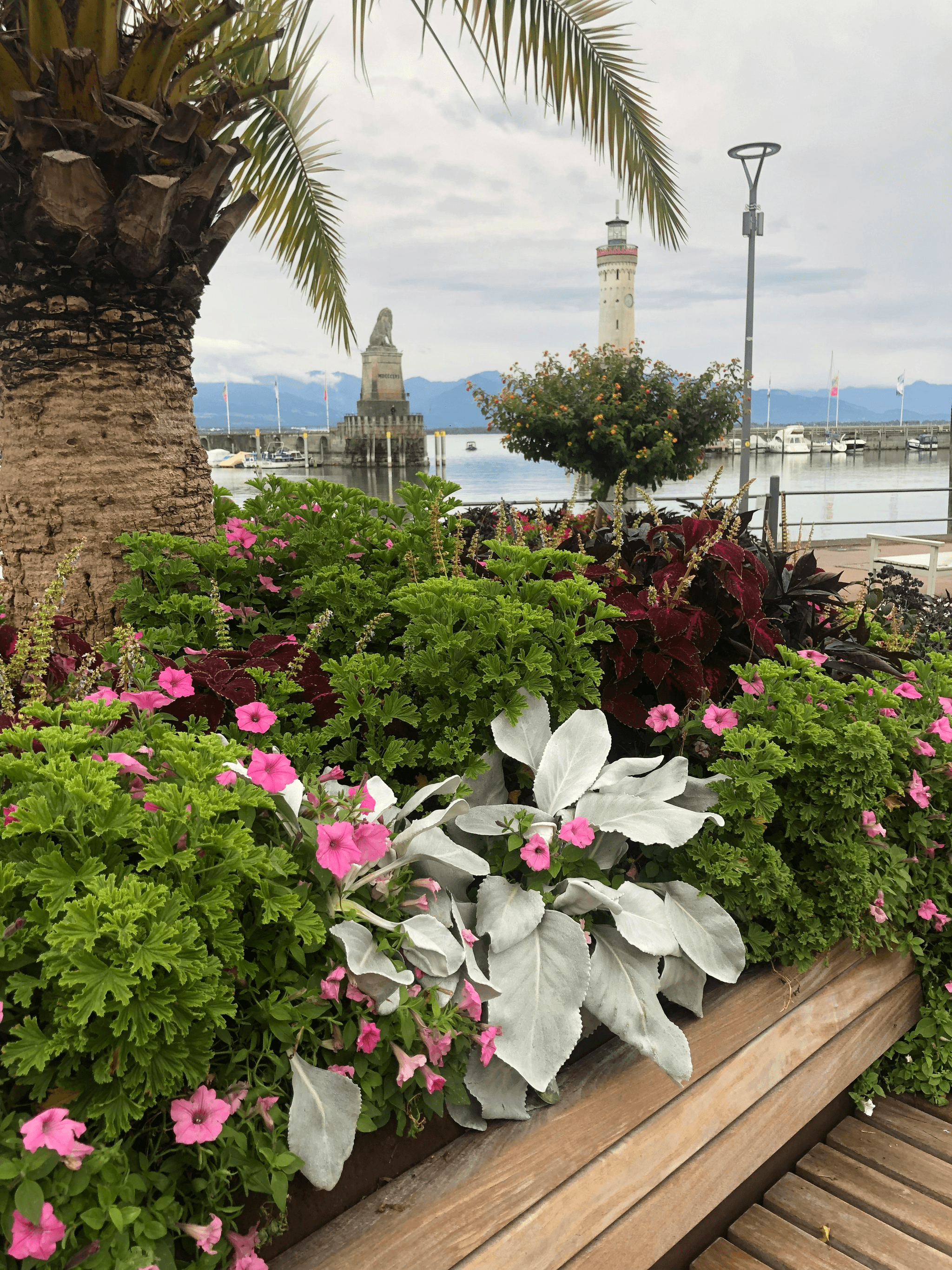 Vibrant outdoor space featuring innovative container designs.