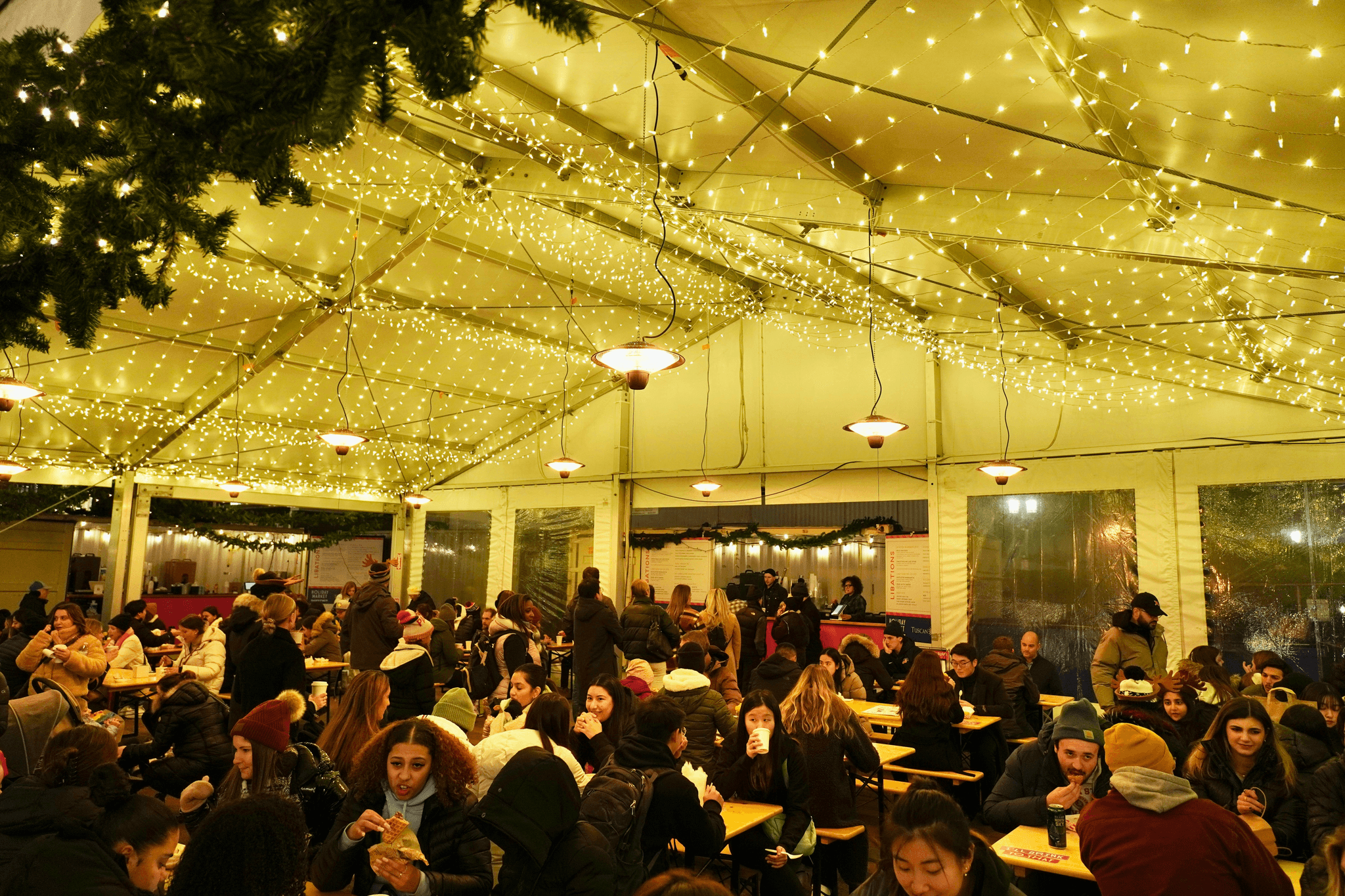 Experience diverse flavors at a container food street