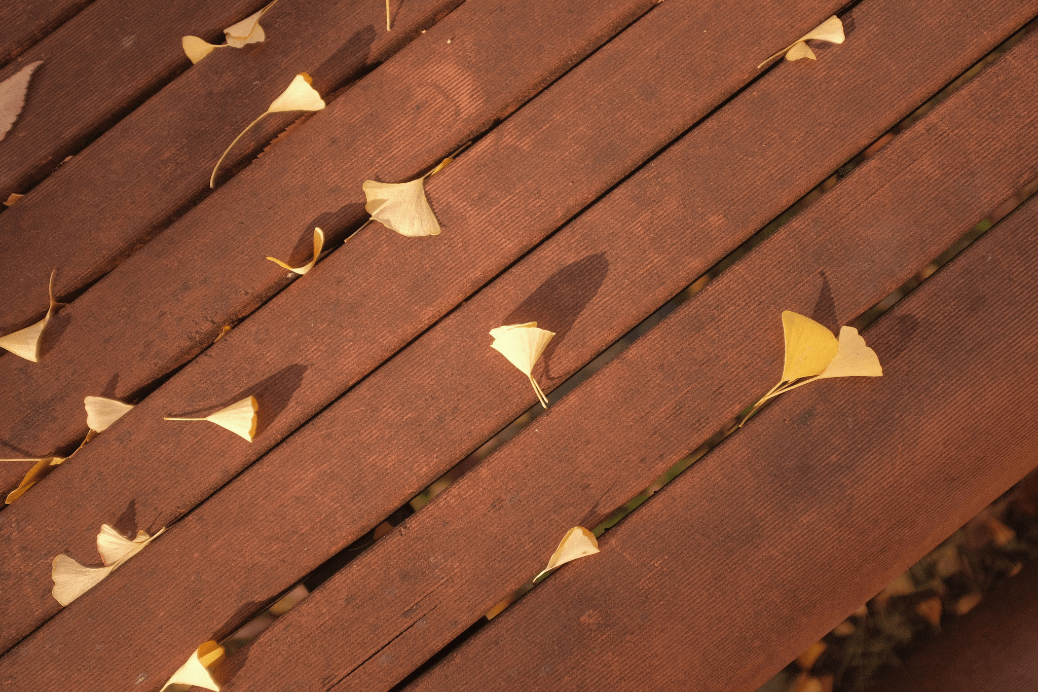 beautiful yellow balau decking enhancing outdoor space