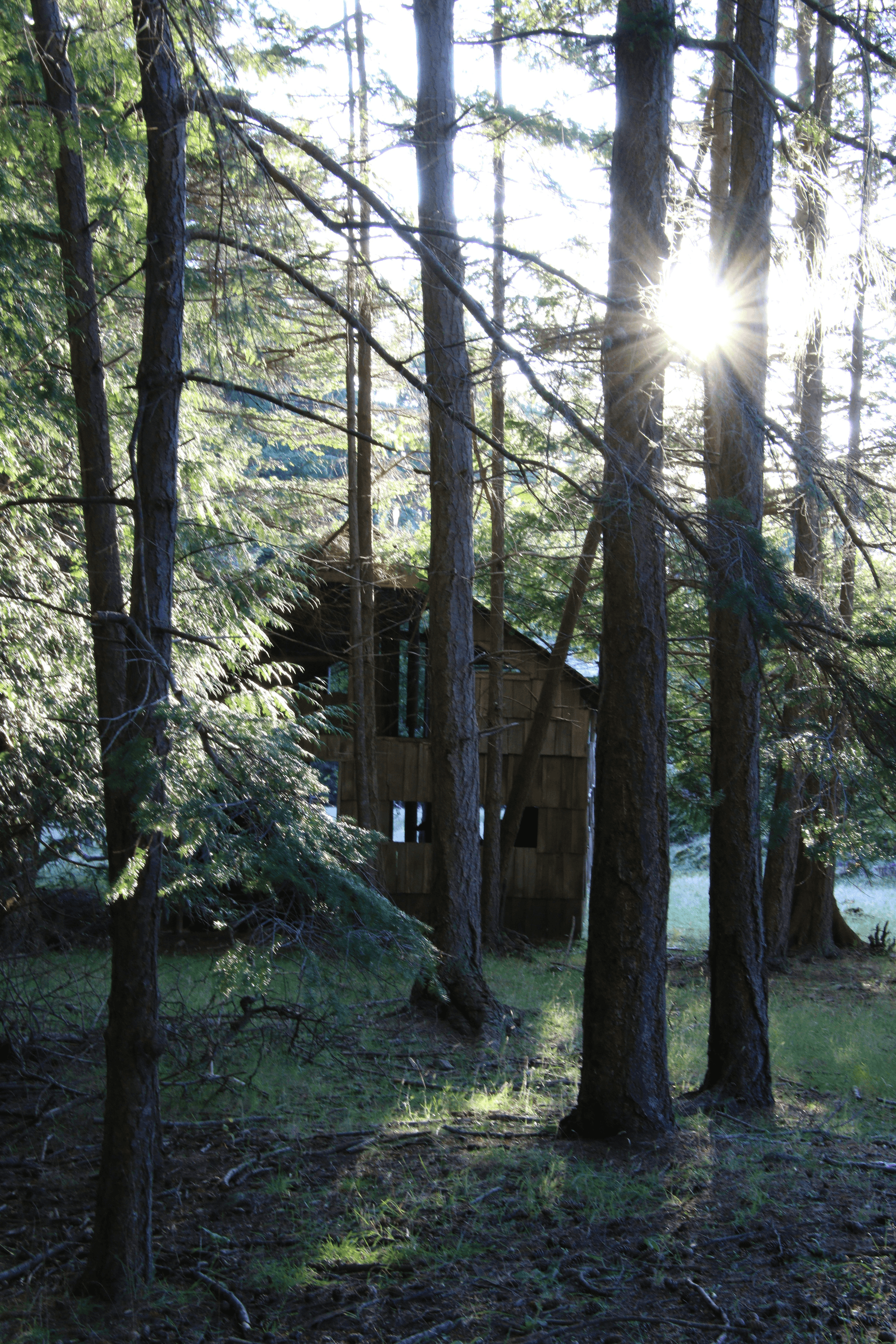 prefab house kits with prices overview showing Allwood Cabin