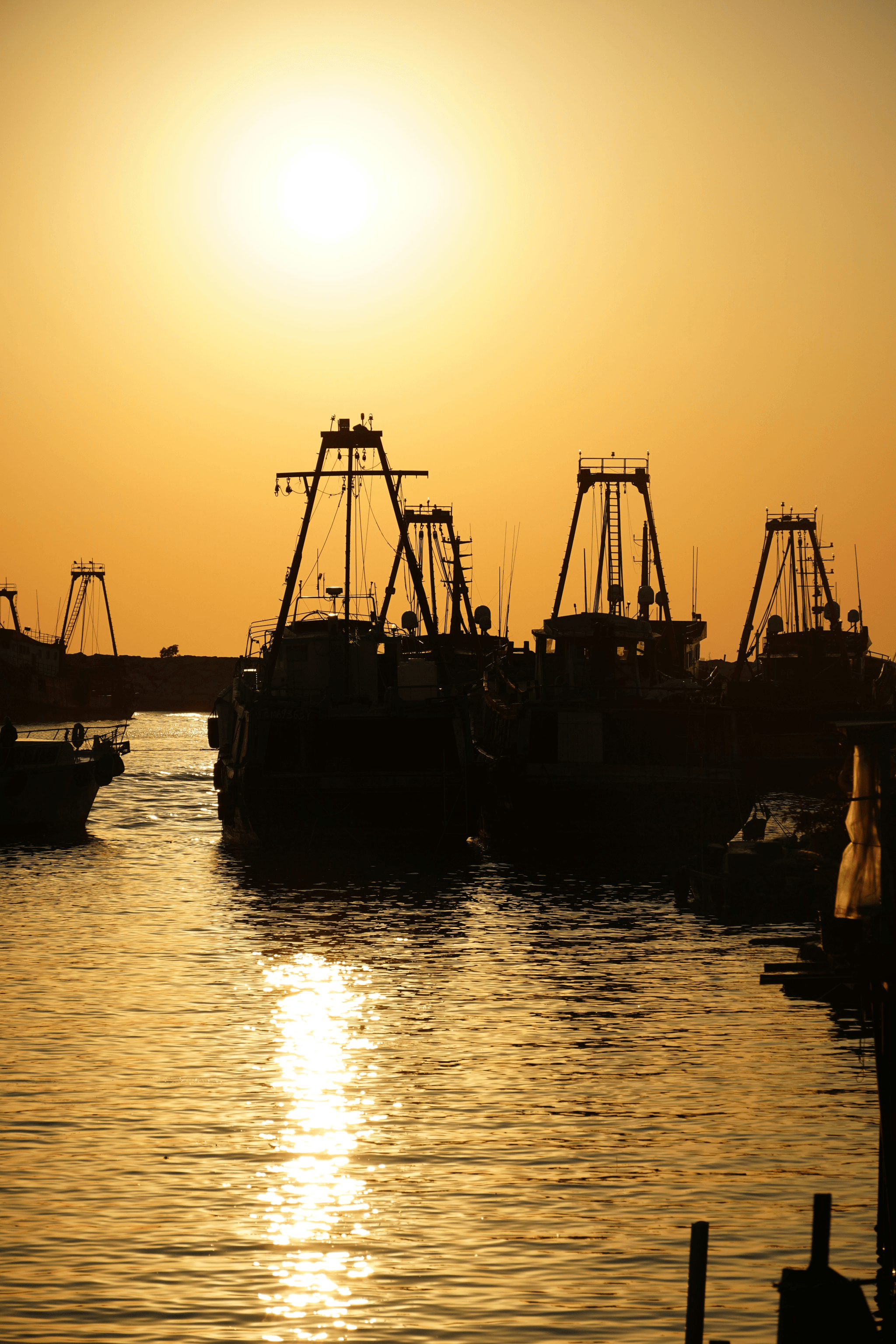 commercial deep sea fishing boats for sale displayed at marina
