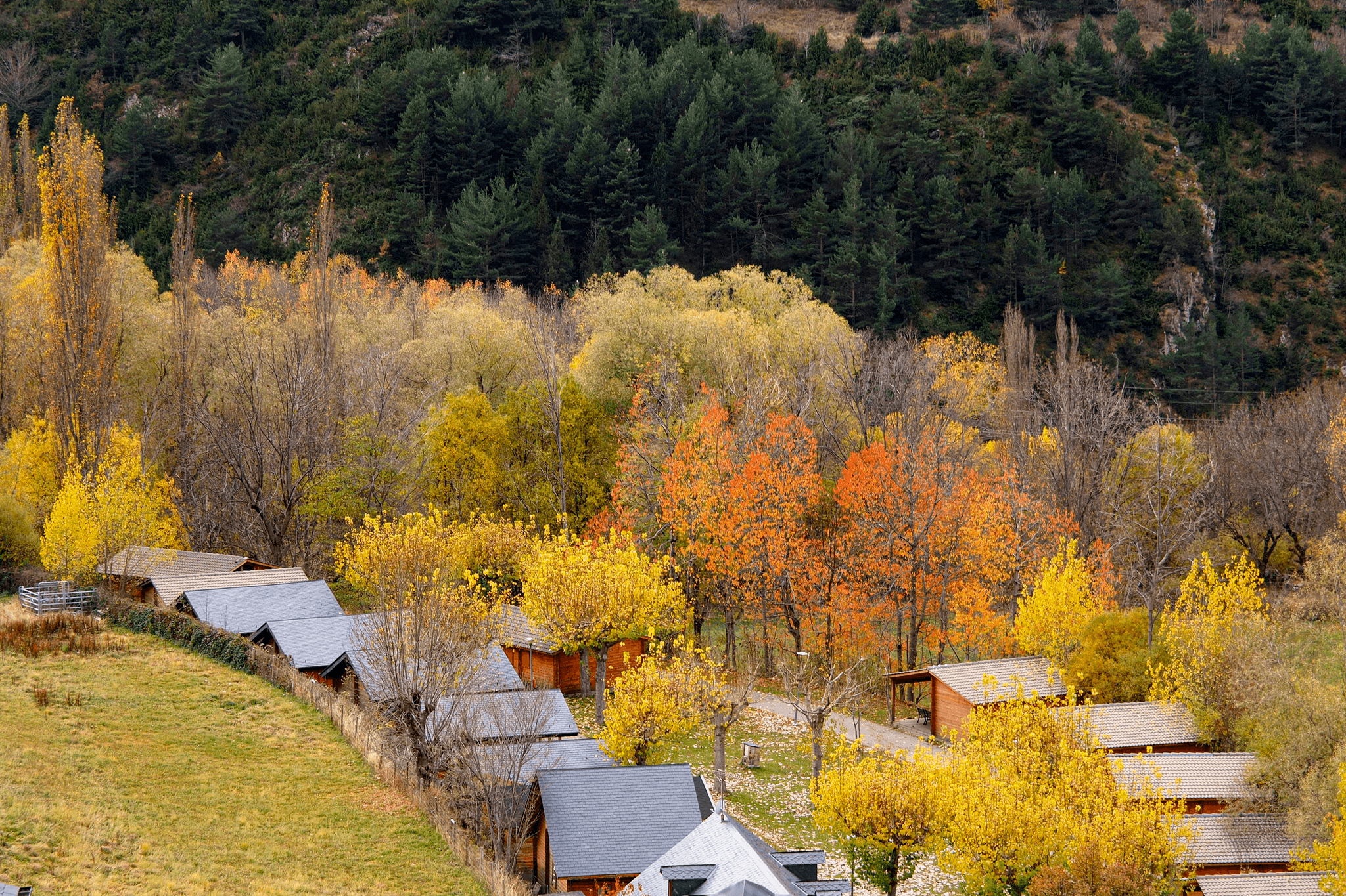 Beautiful landscape view near apple hollow cabins.
