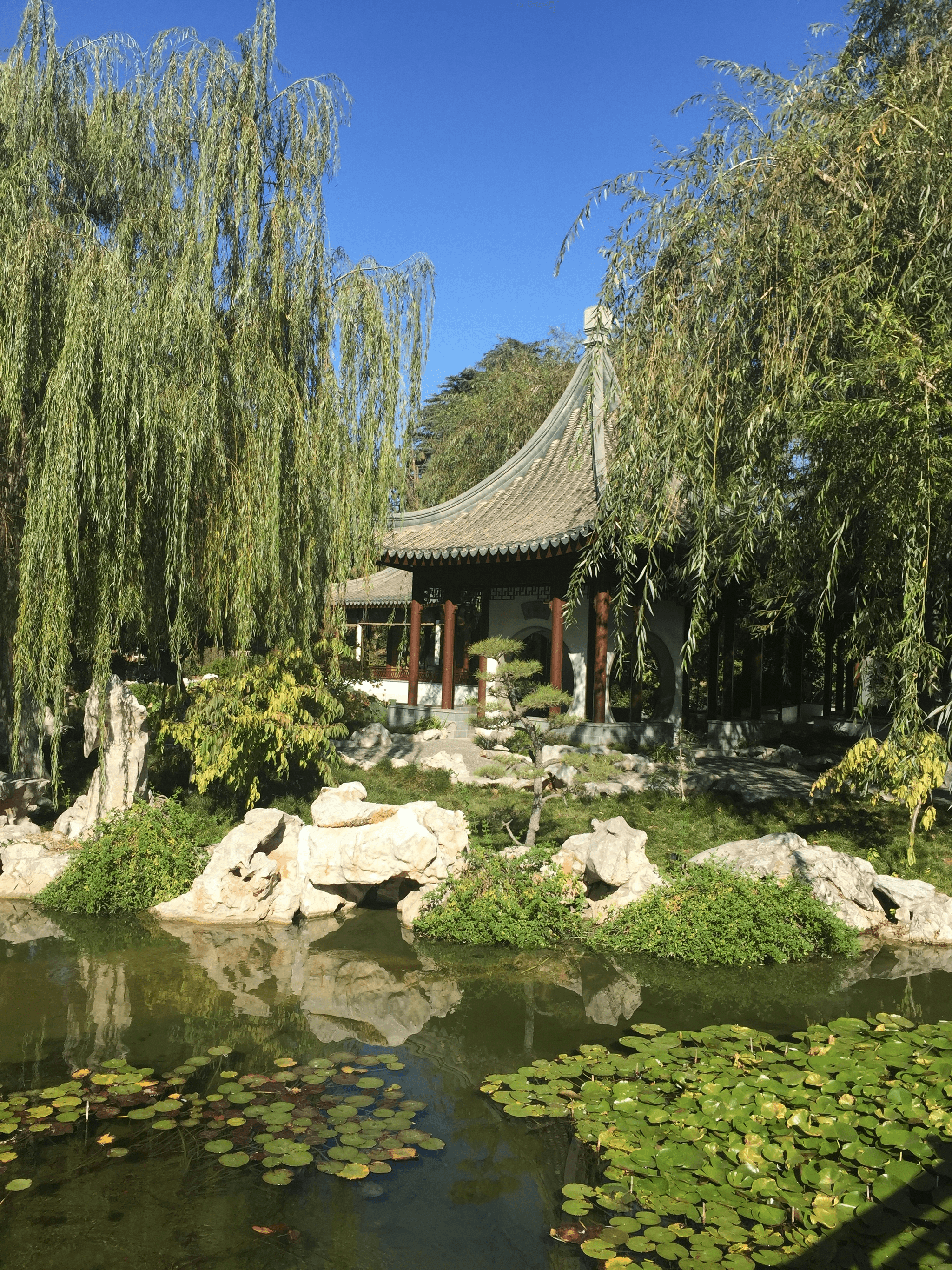 Serene gardens at Yuexiu Park near Guangzhou Trade Fair