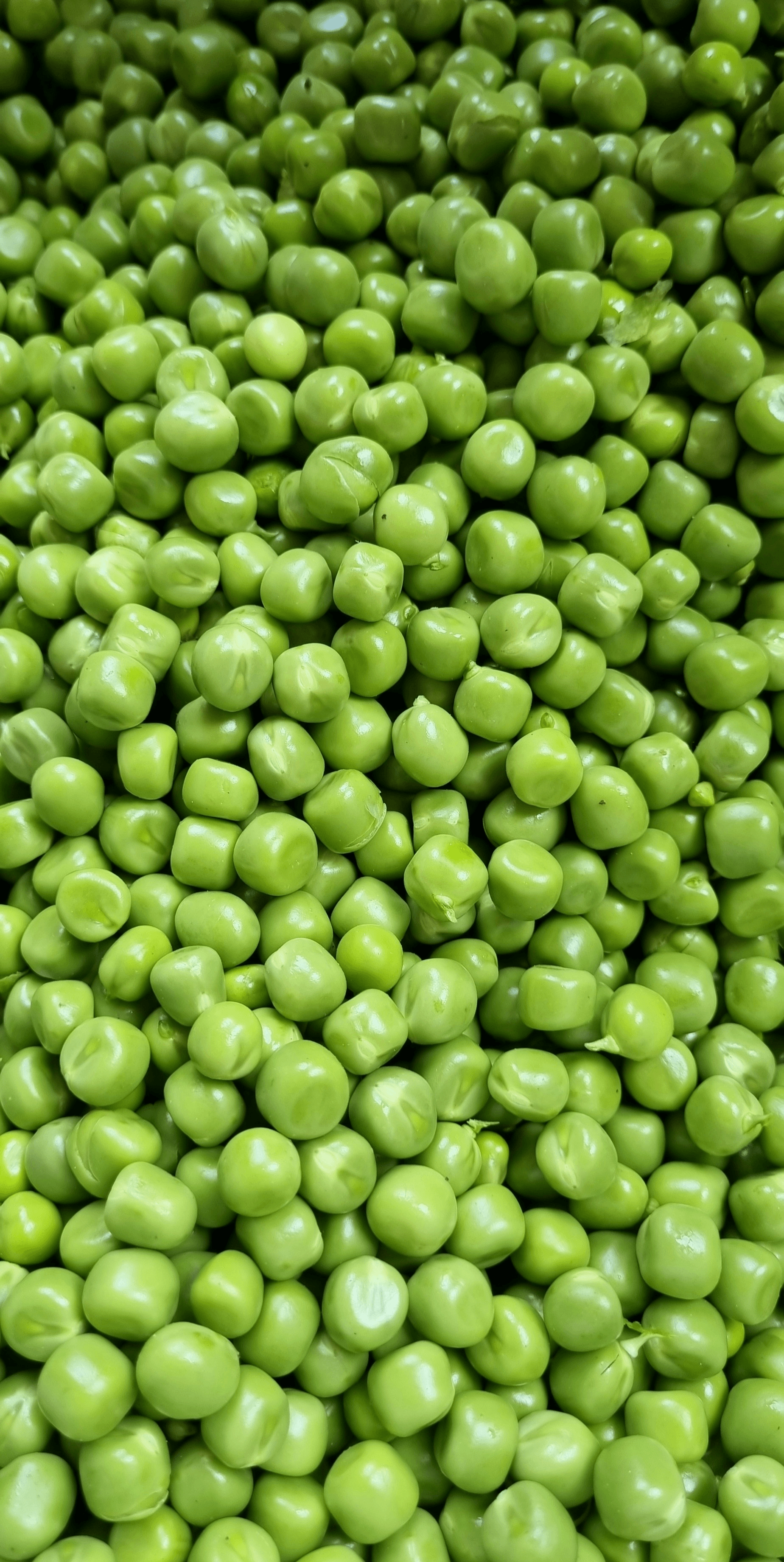 freshly stocked warehouse featuring bulk frozen green peas